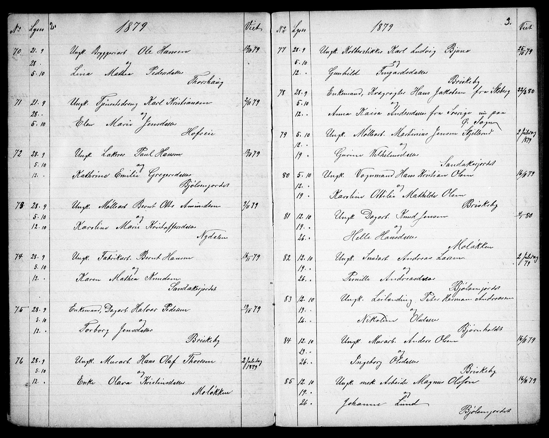 Vestre Aker prestekontor Kirkebøker, SAO/A-10025/G/Ga/L0005: Parish register (copy) no. I 5, 1879-1901, p. 2-3