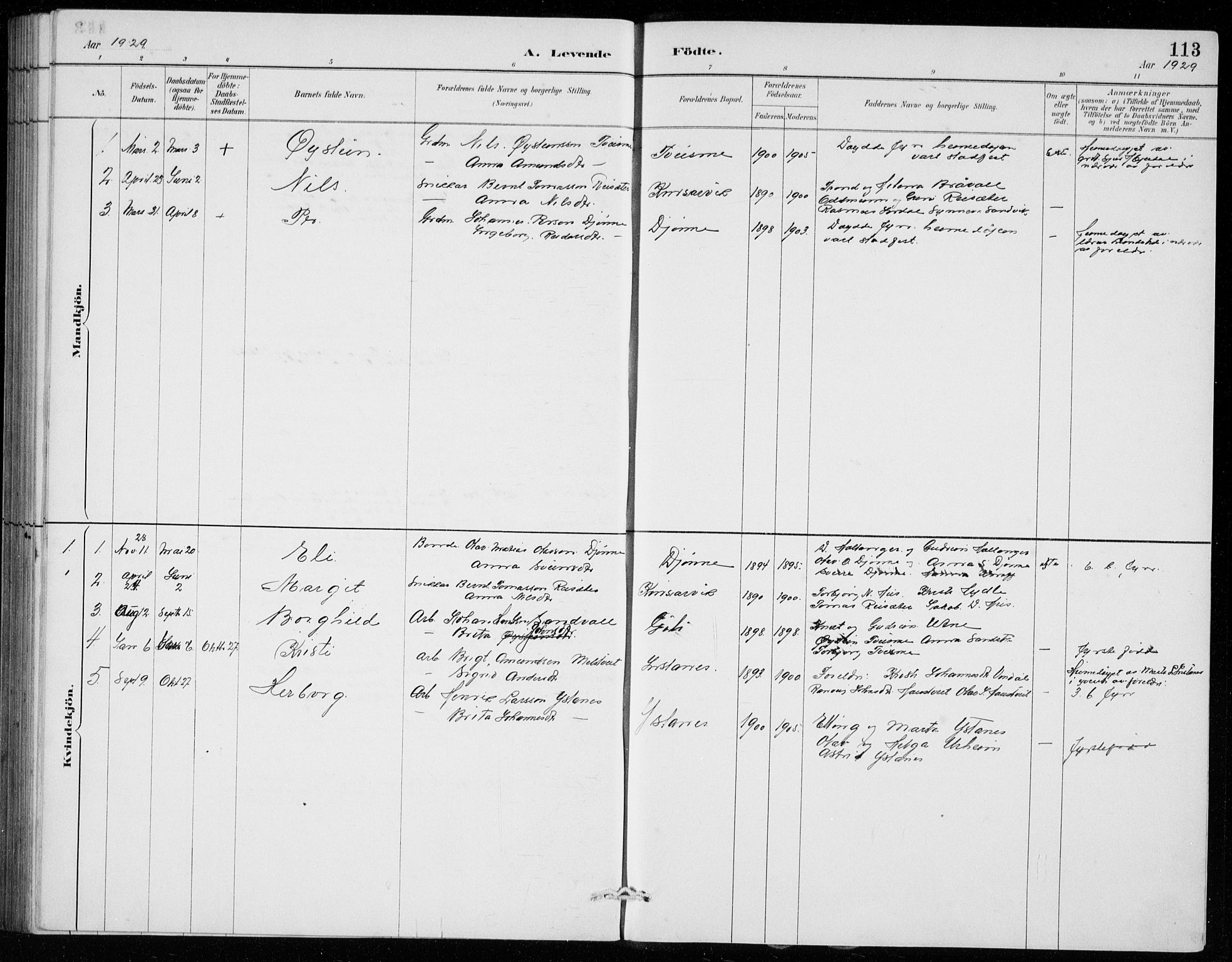 Ullensvang sokneprestembete, AV/SAB-A-78701/H/Hab: Parish register (copy) no. E  7, 1887-1929, p. 113