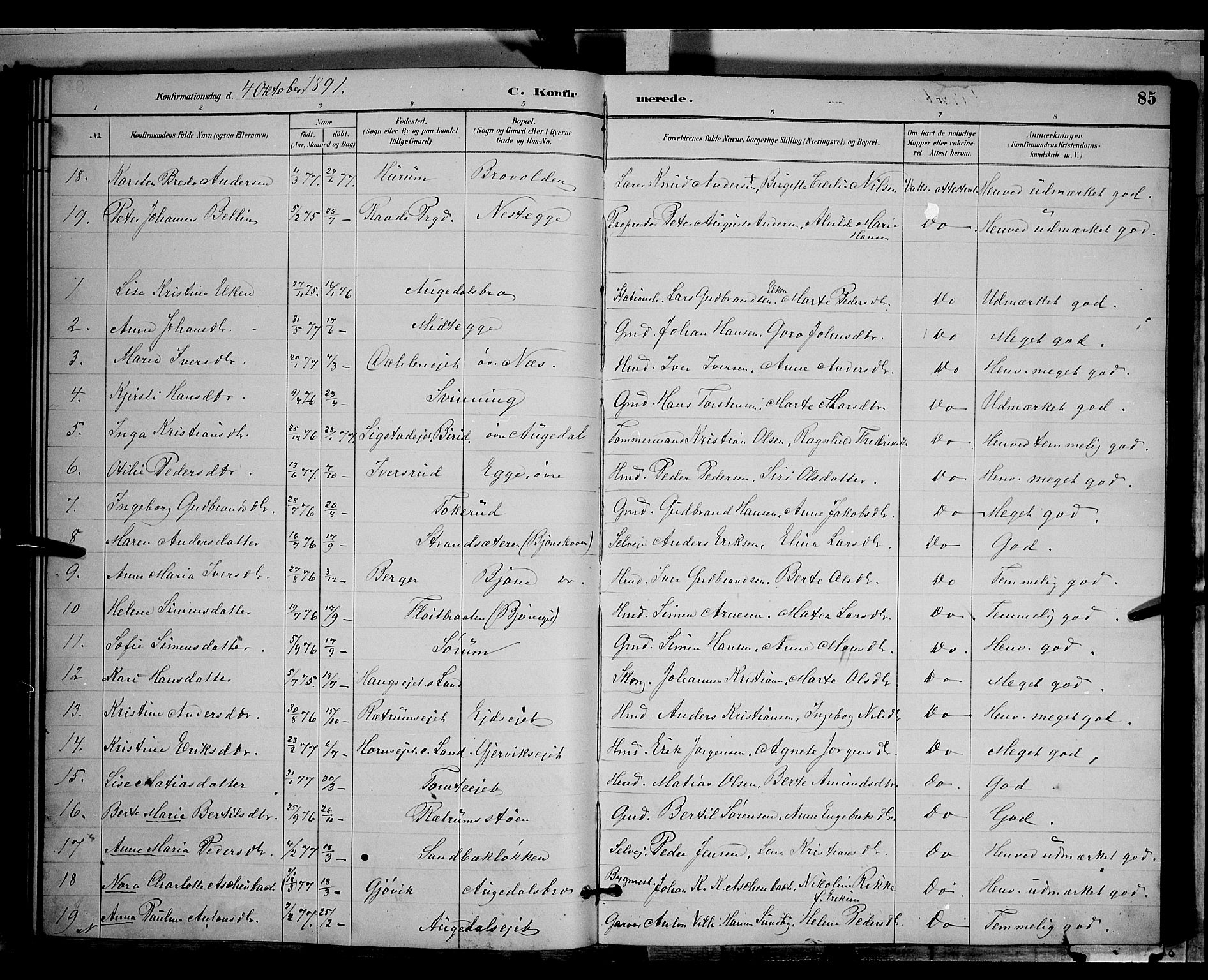 Gran prestekontor, SAH/PREST-112/H/Ha/Hab/L0004: Parish register (copy) no. 4, 1890-1899, p. 85