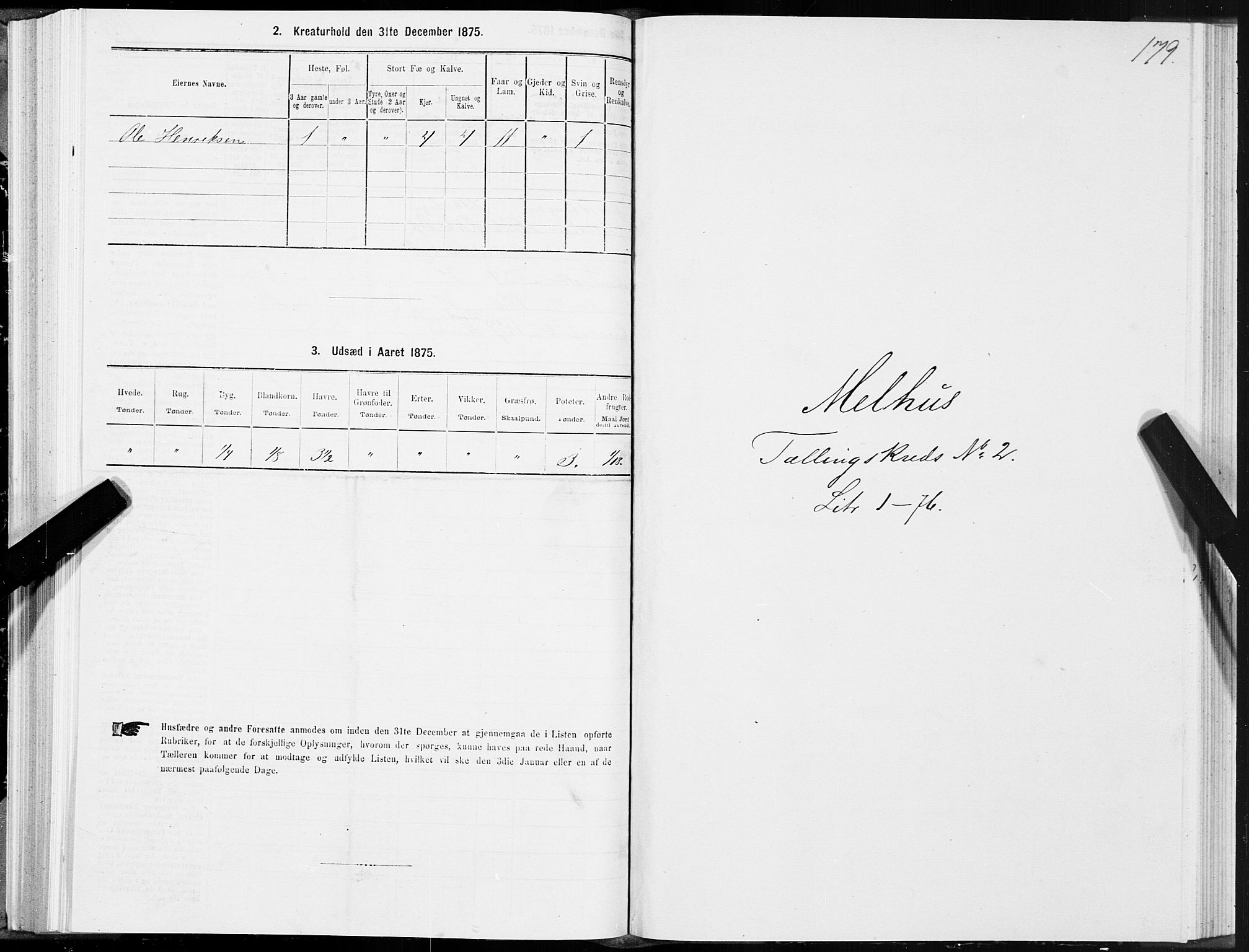 SAT, 1875 census for 1653P Melhus, 1875, p. 1179