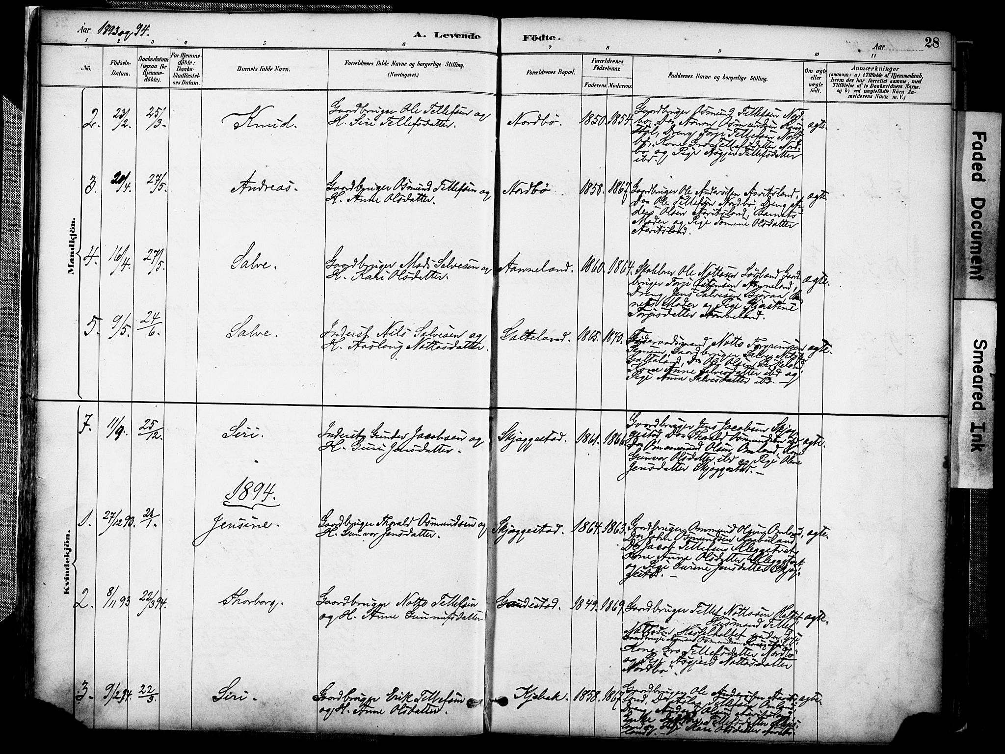 Evje sokneprestkontor, AV/SAK-1111-0008/F/Fa/Faa/L0007: Parish register (official) no. A 7, 1884-1909, p. 28