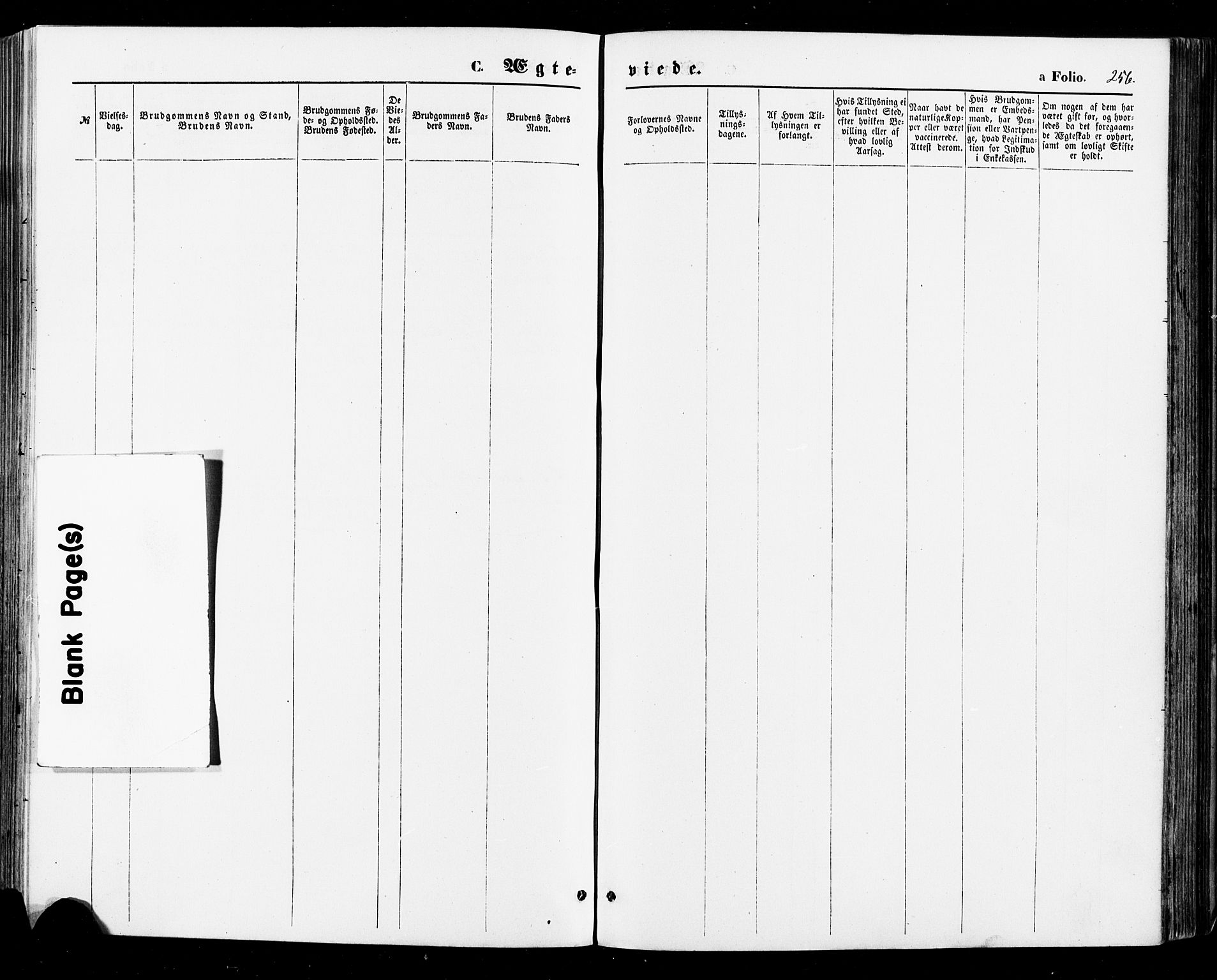 Sirdal sokneprestkontor, AV/SAK-1111-0036/F/Fa/Fab/L0003: Parish register (official) no. A 3, 1874-1886, p. 256