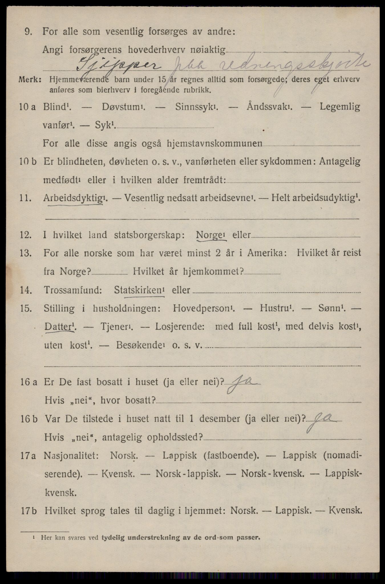 SAT, 1920 census for Dverberg, 1920, p. 11299