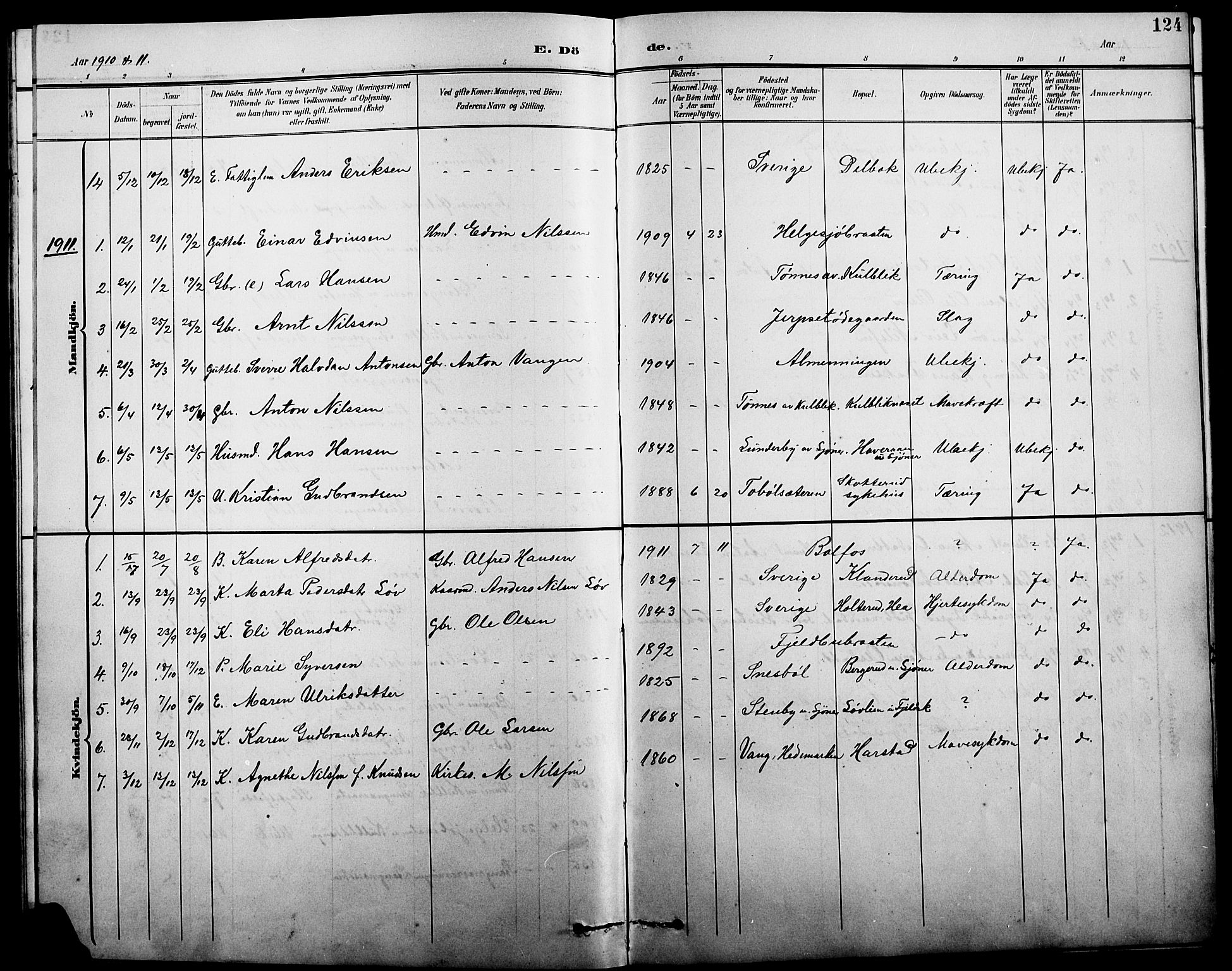 Eidskog prestekontor, AV/SAH-PREST-026/H/Ha/Hab/L0002: Parish register (copy) no. 2, 1895-1923, p. 124