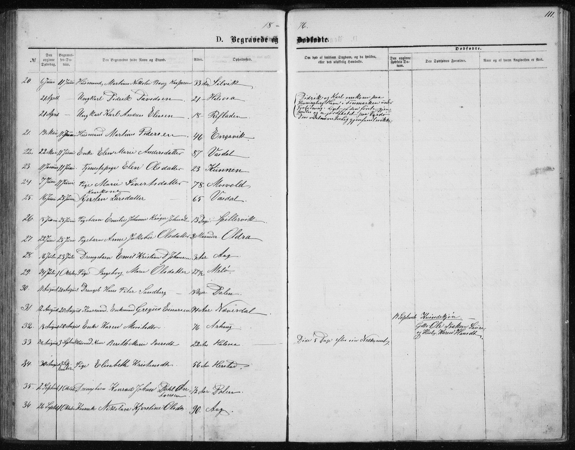 Ministerialprotokoller, klokkerbøker og fødselsregistre - Nordland, AV/SAT-A-1459/843/L0635: Parish register (copy) no. 843C04, 1872-1887, p. 111