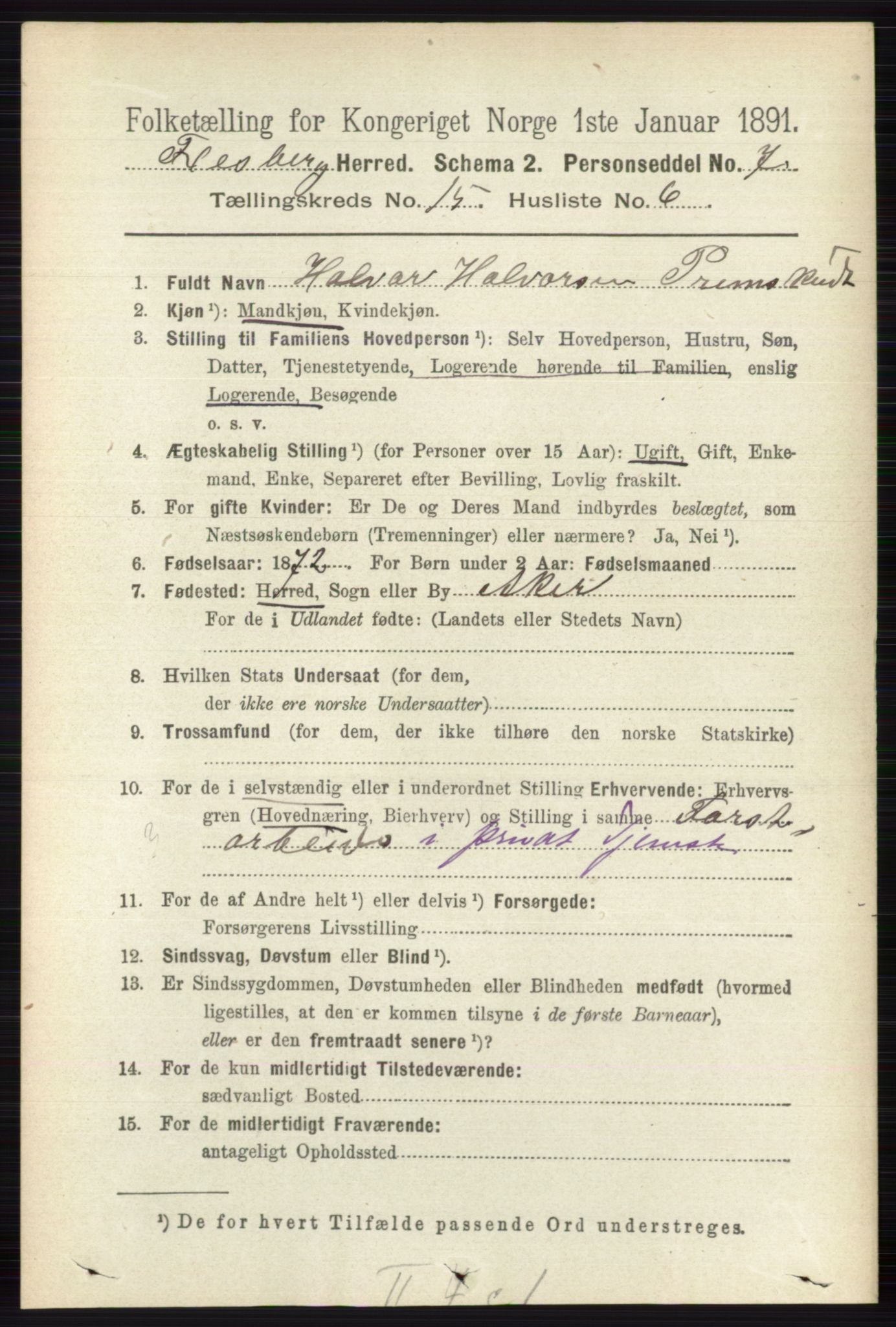 RA, 1891 census for 0631 Flesberg, 1891, p. 2723