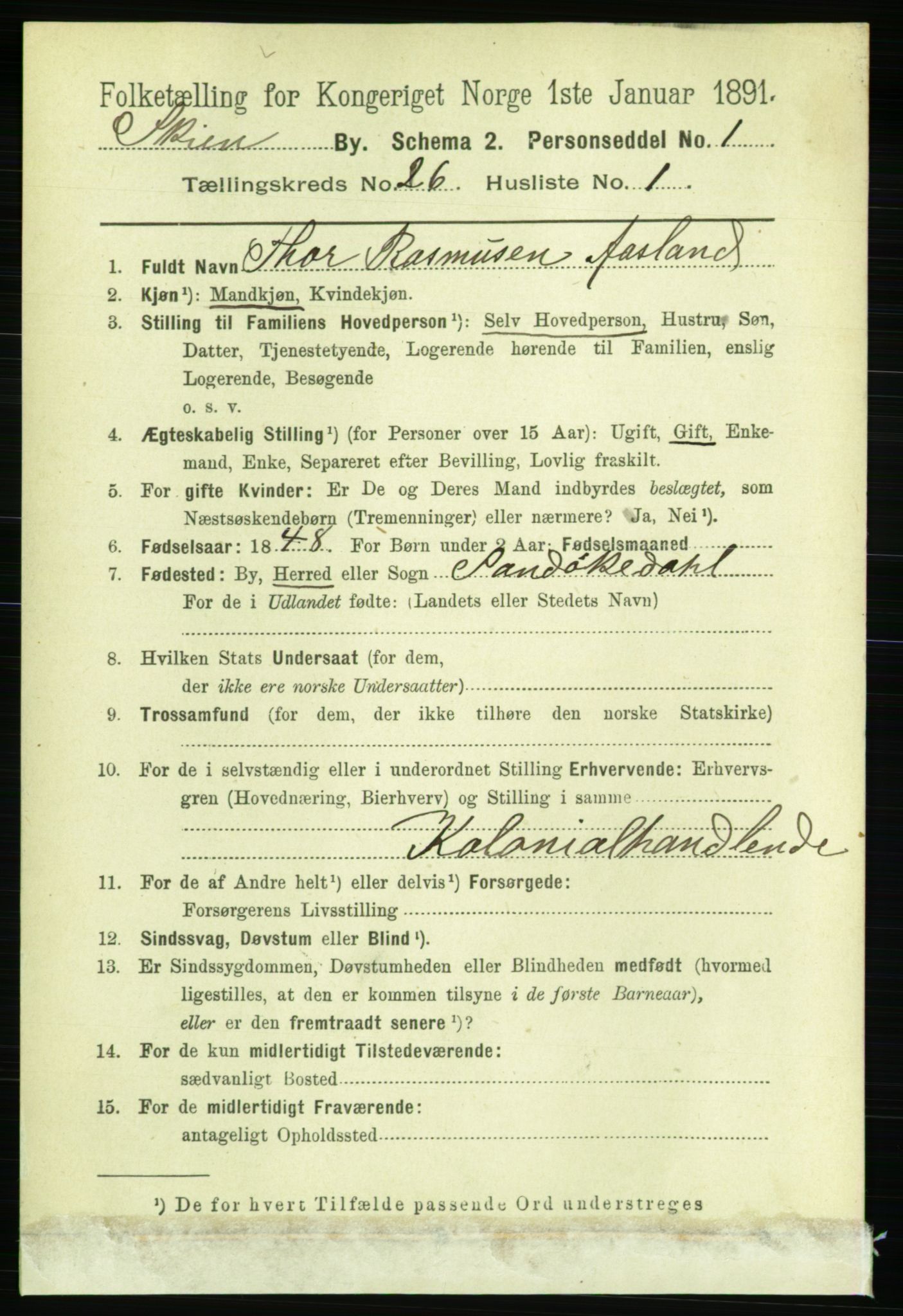 RA, 1891 census for 0806 Skien, 1891, p. 6247