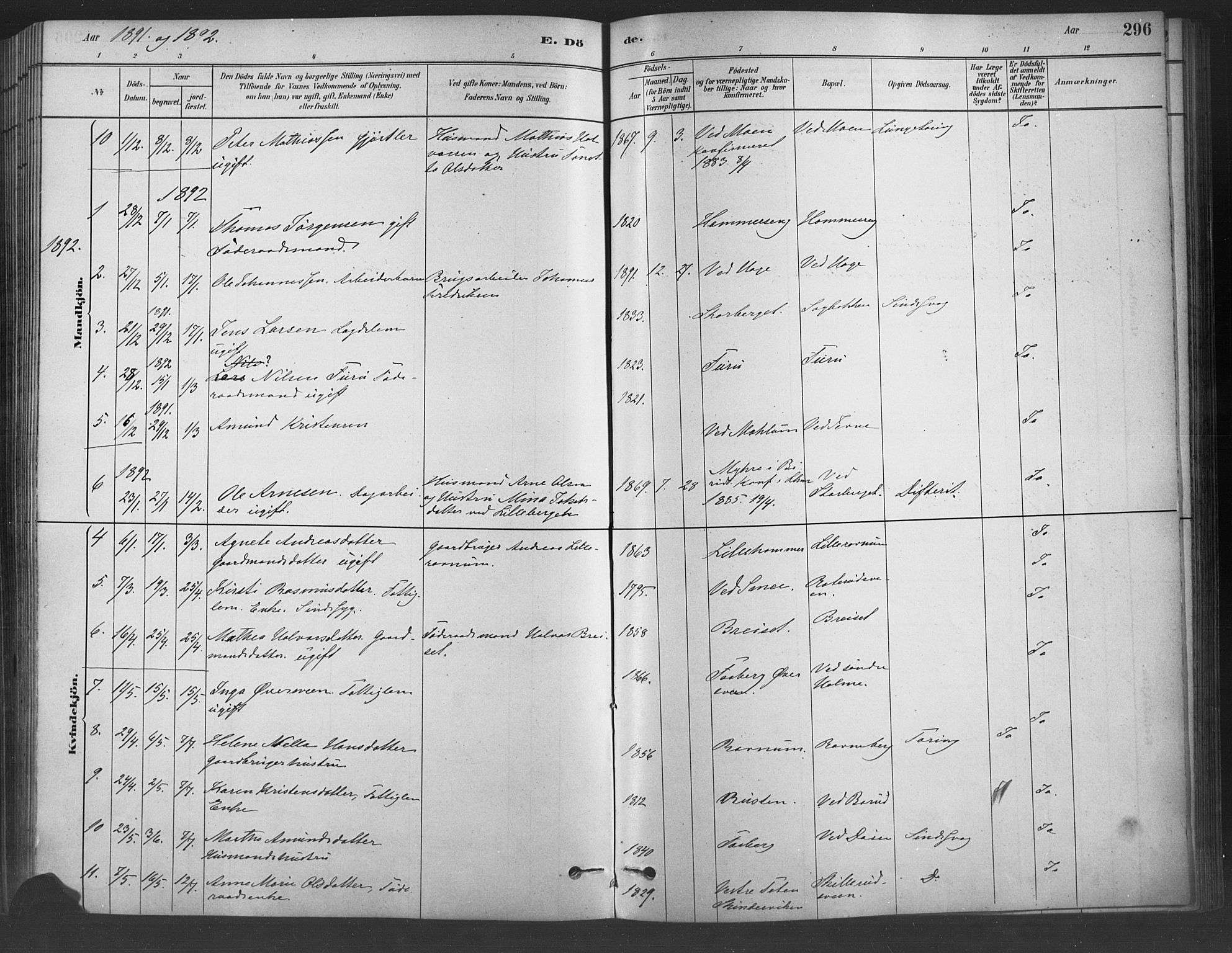 Fåberg prestekontor, AV/SAH-PREST-086/H/Ha/Haa/L0009: Parish register (official) no. 9, 1879-1898, p. 296