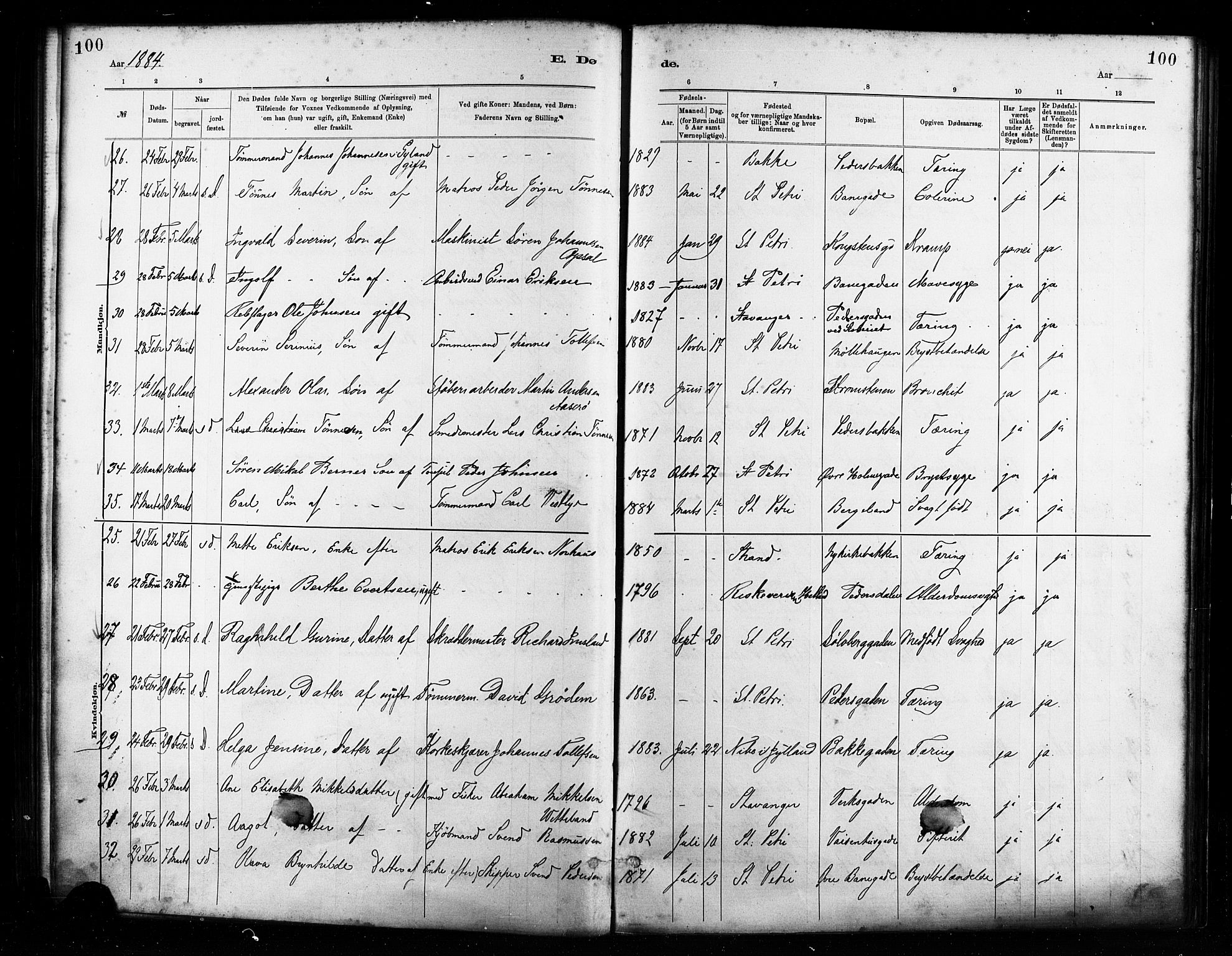 St. Petri sokneprestkontor, AV/SAST-A-101813/001/30/30BA/L0017: Parish register (official) no. A 17, 1879-1895, p. 100