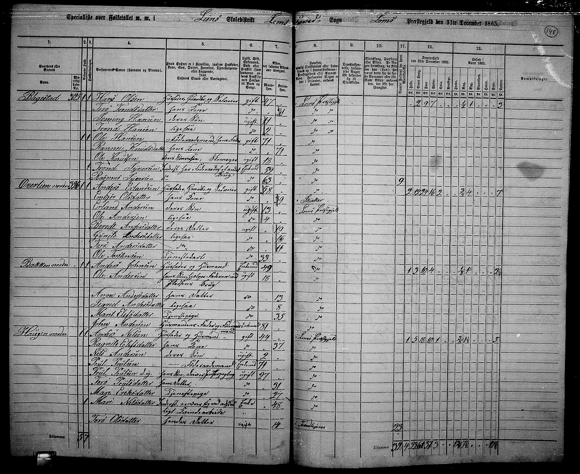 RA, 1865 census for Lom, 1865, p. 134