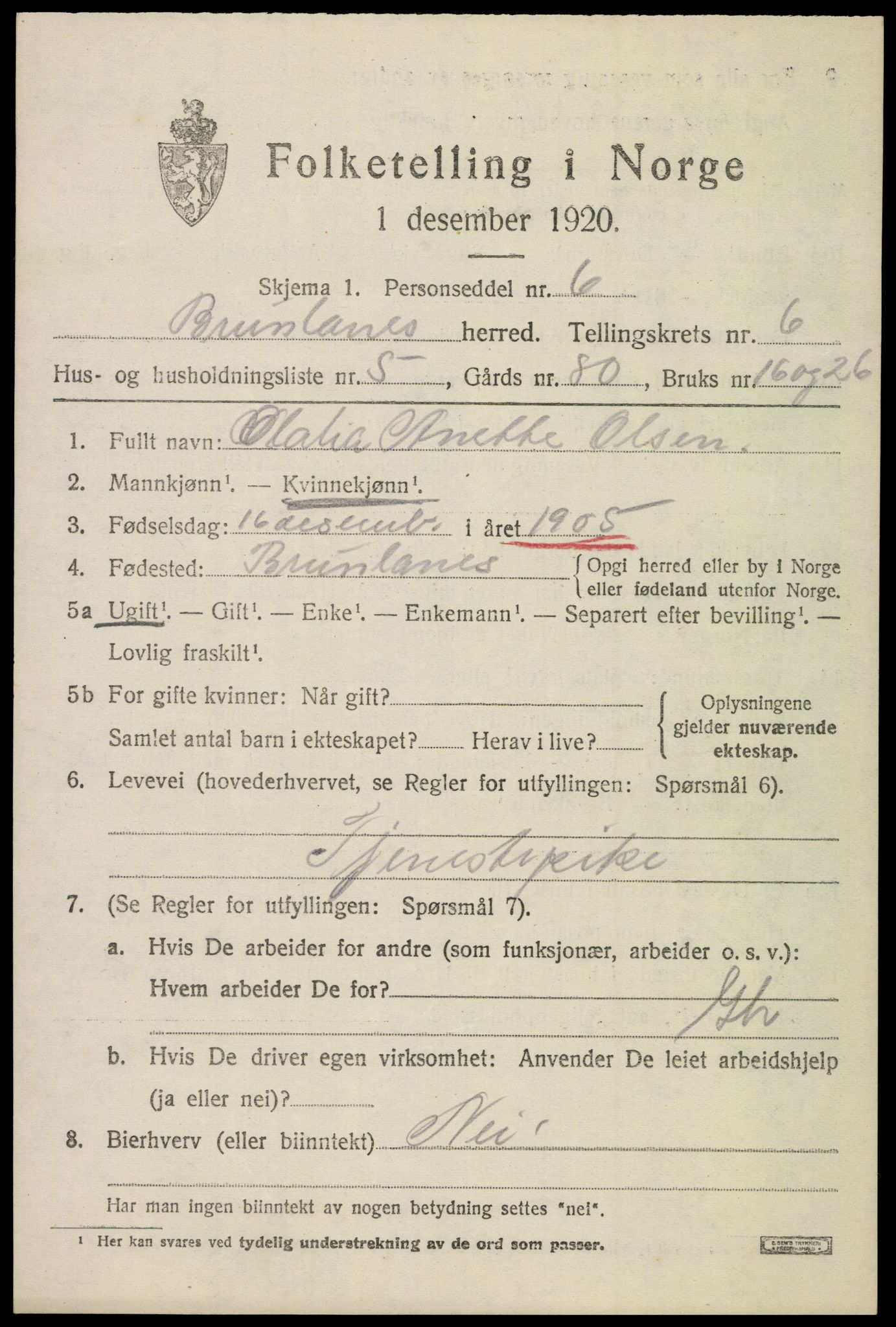 SAKO, 1920 census for Brunlanes, 1920, p. 6821