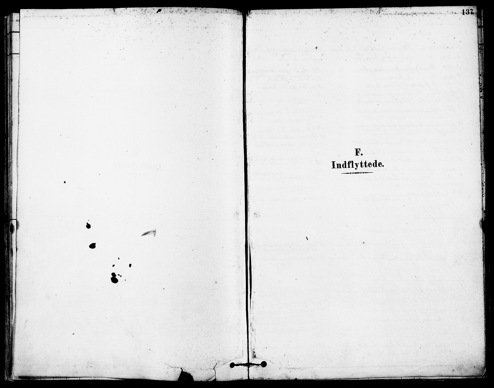 Høyland sokneprestkontor, AV/SAST-A-101799/001/30BA/L0012: Parish register (official) no. A 11, 1878-1889, p. 137