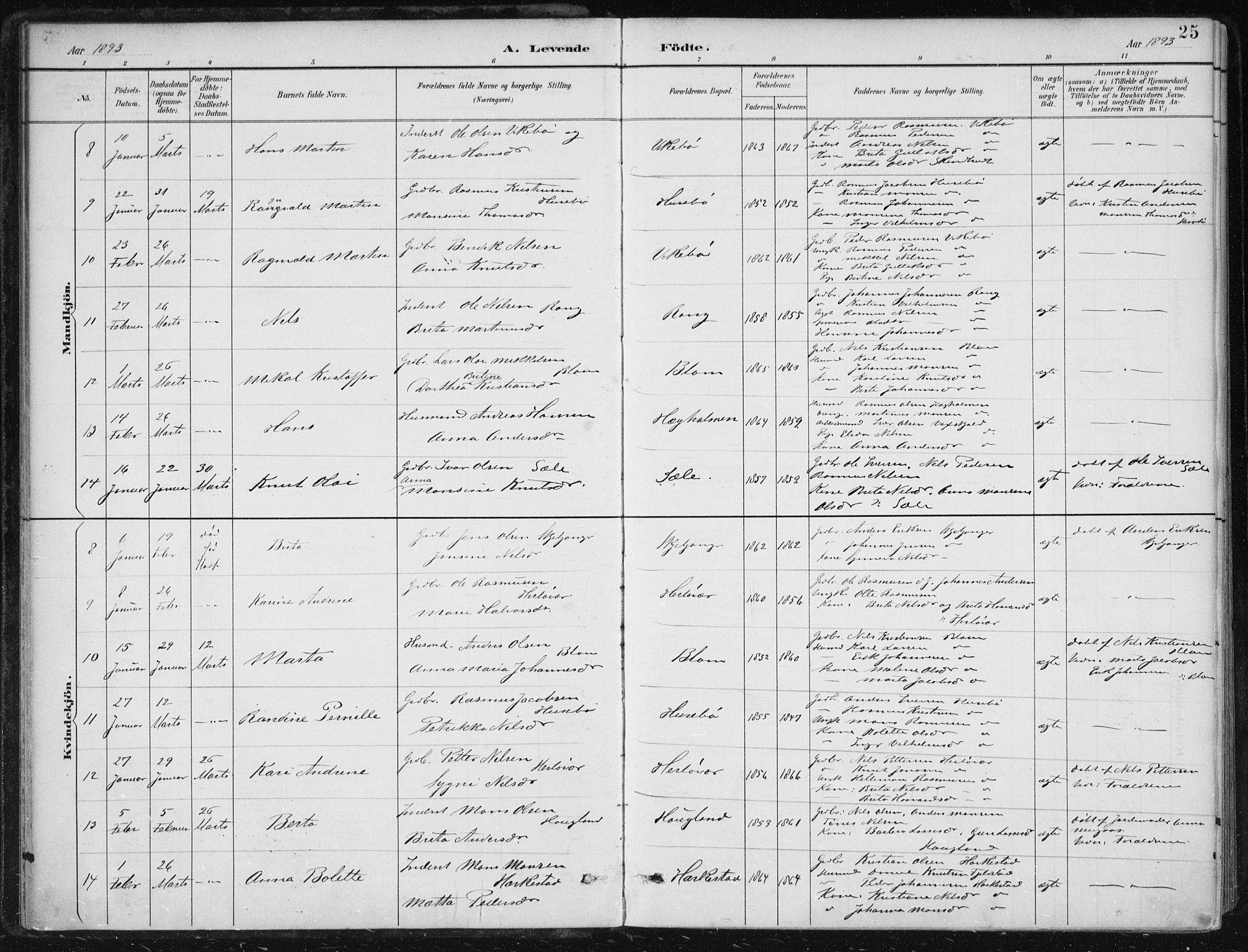 Herdla Sokneprestembete, SAB/A-75701/H/Haa: Parish register (official) no. A 4, 1891-1905, p. 25