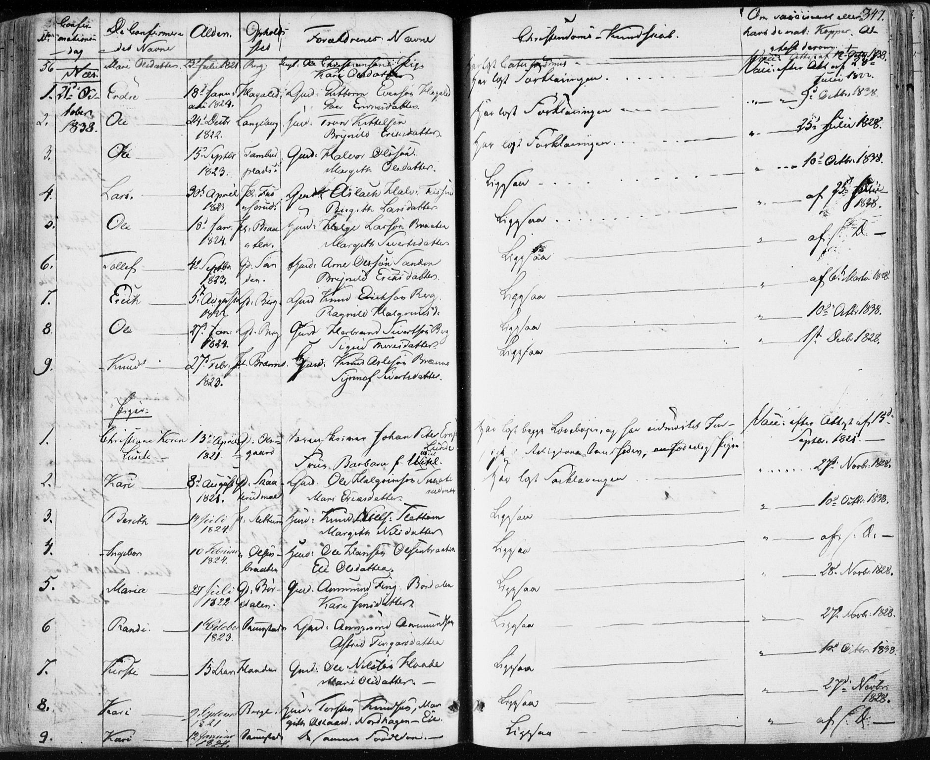 Nes kirkebøker, SAKO/A-236/F/Fa/L0009: Parish register (official) no. 9, 1834-1863, p. 347