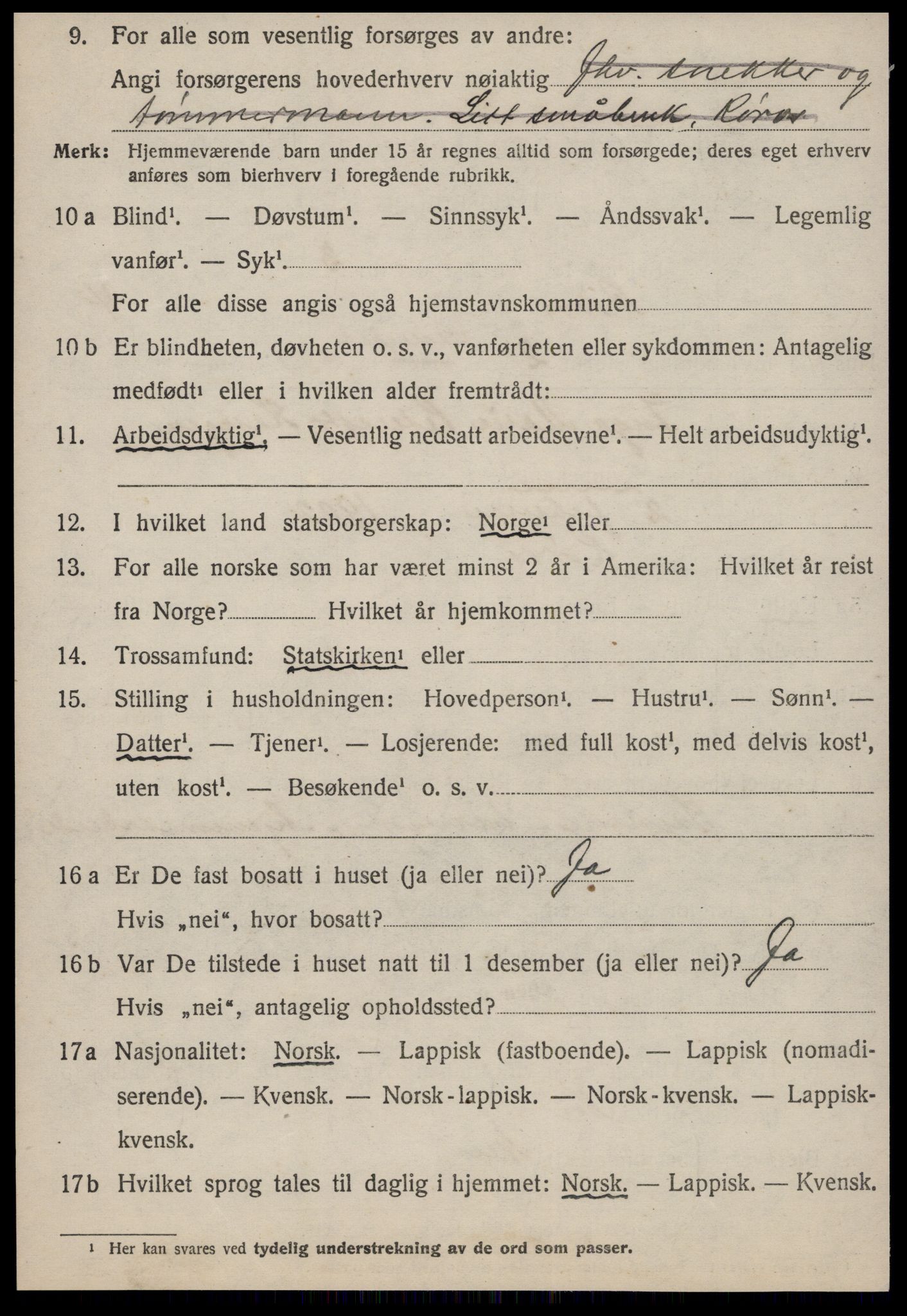 SAT, 1920 census for Røros, 1920, p. 4521