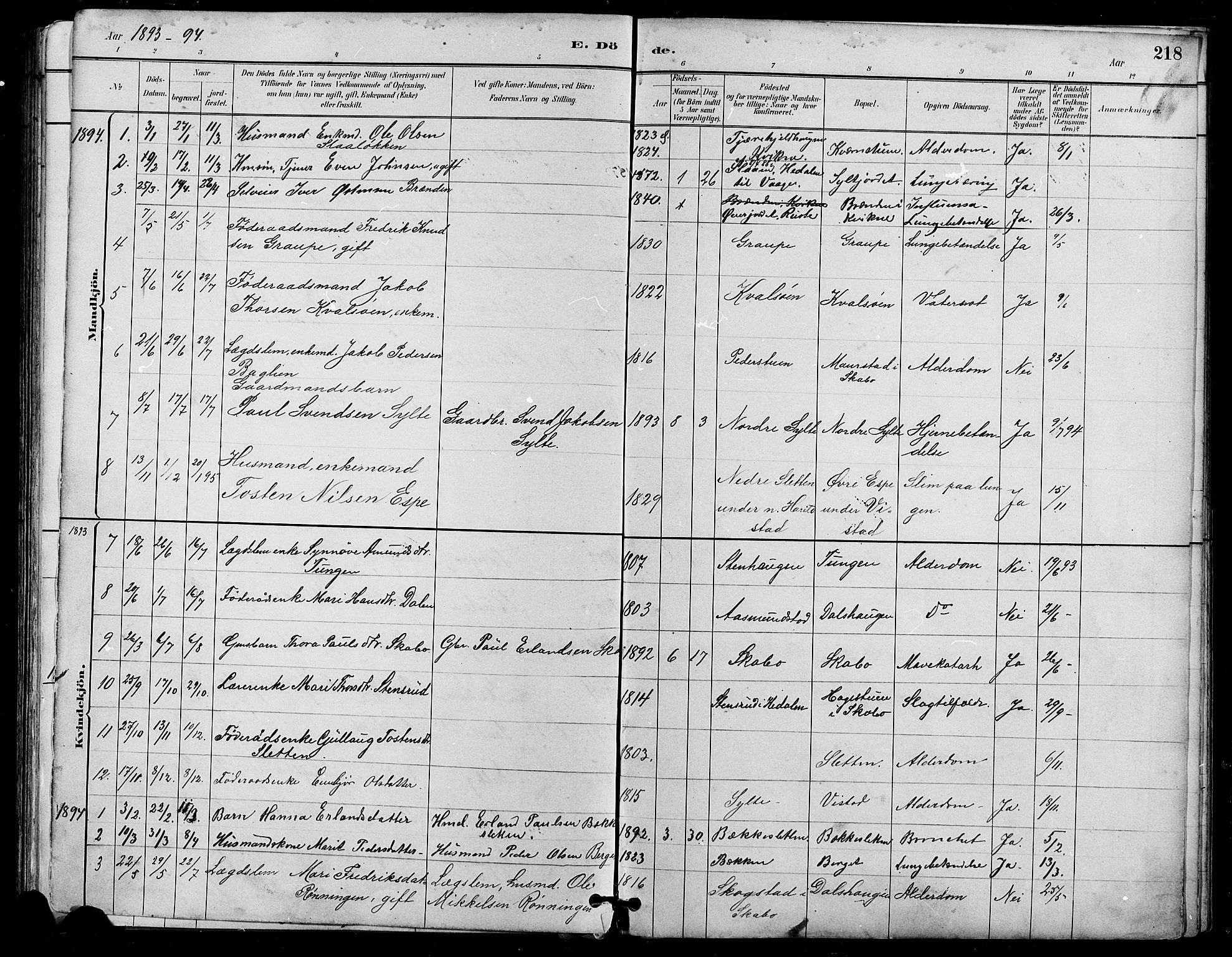 Nord-Fron prestekontor, SAH/PREST-080/H/Ha/Hab/L0005: Parish register (copy) no. 5, 1884-1914, p. 218