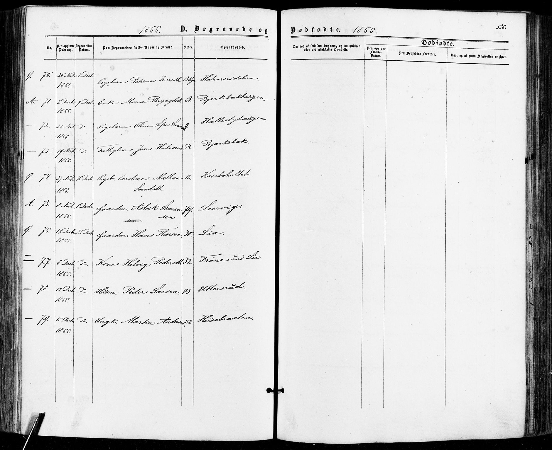 Aremark prestekontor Kirkebøker, SAO/A-10899/F/Fc/L0004: Parish register (official) no. III 4, 1866-1877, p. 555-556