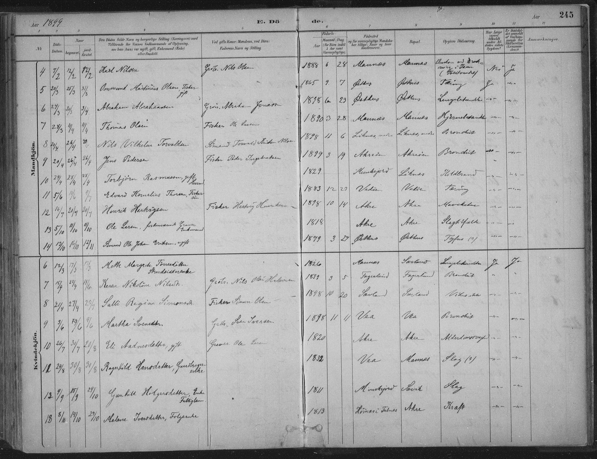 Kopervik sokneprestkontor, SAST/A-101850/H/Ha/Haa/L0004: Parish register (official) no. A 4, 1882-1905, p. 245