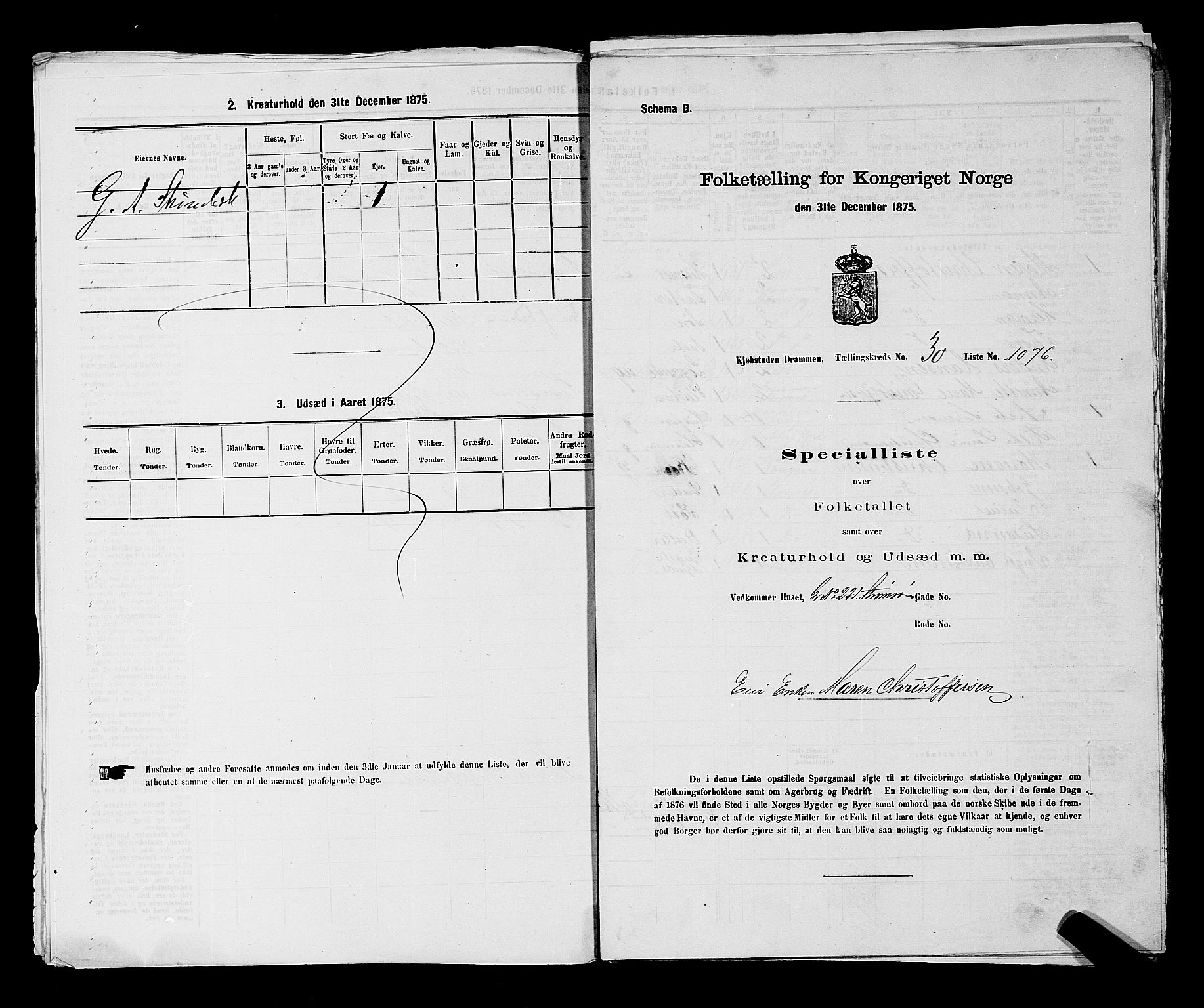 SAKO, 1875 census for 0602 Drammen, 1875, p. 2786