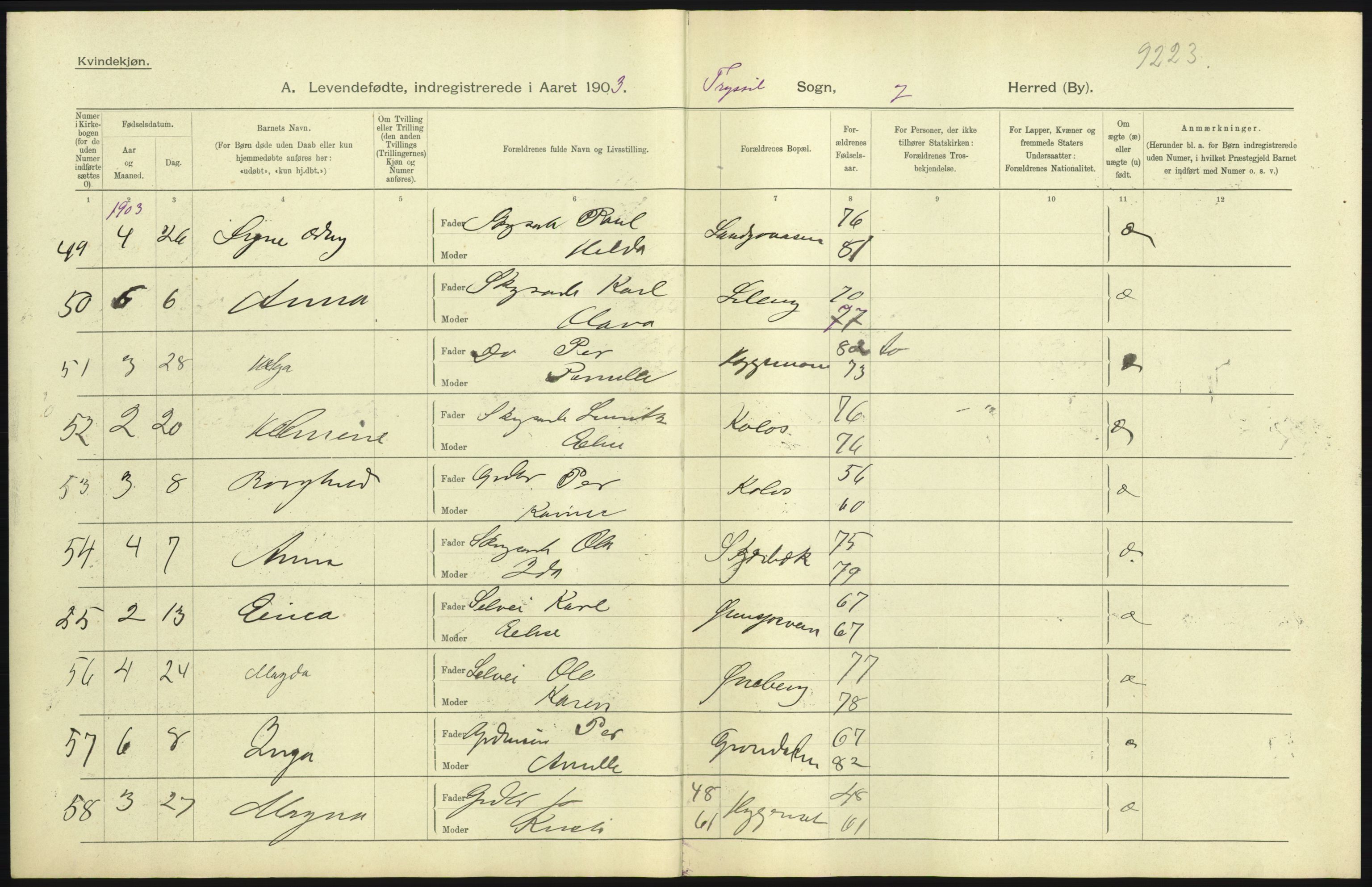 Statistisk sentralbyrå, Sosiodemografiske emner, Befolkning, AV/RA-S-2228/D/Df/Dfa/Dfaa/L0005: Hedemarkens amt: Fødte, gifte, døde, 1903, p. 13