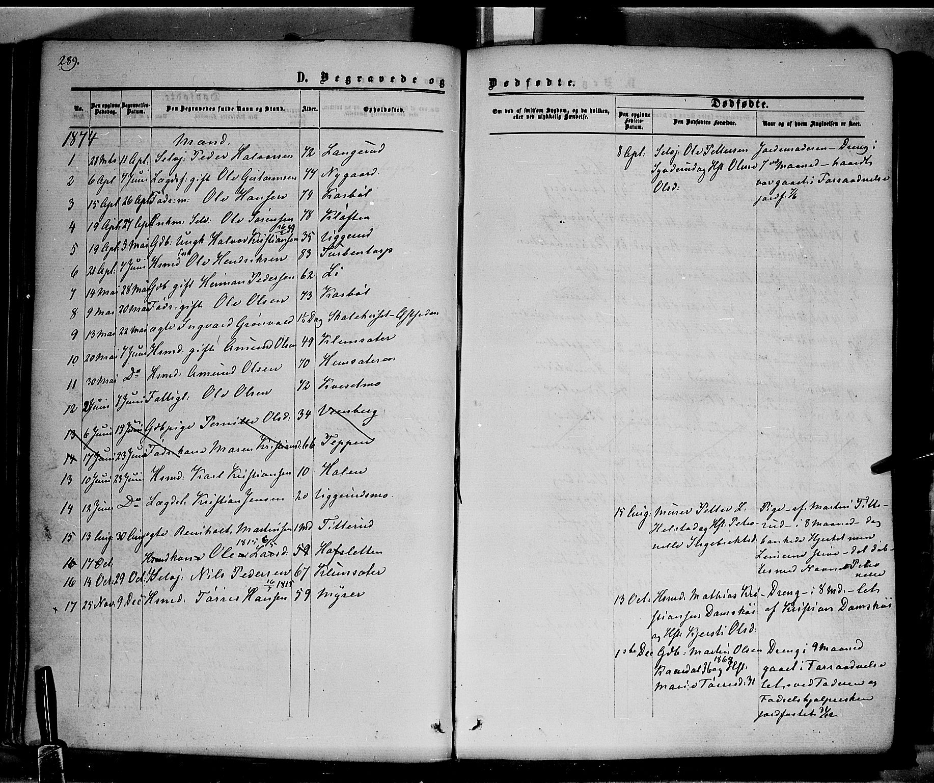 Hof prestekontor, SAH/PREST-038/H/Ha/Haa/L0009: Parish register (official) no. 9, 1862-1877, p. 289