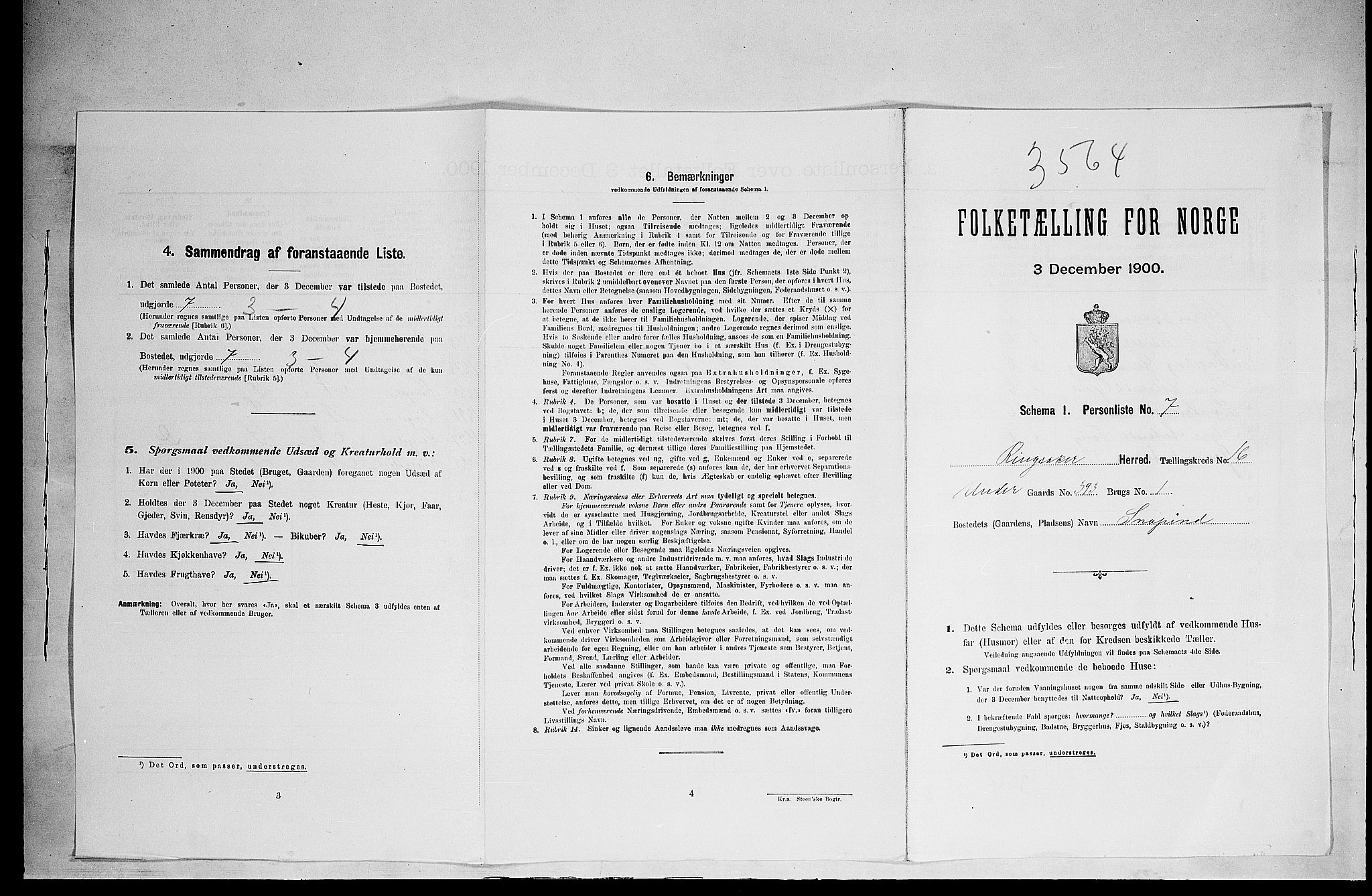 SAH, 1900 census for Ringsaker, 1900, p. 2966