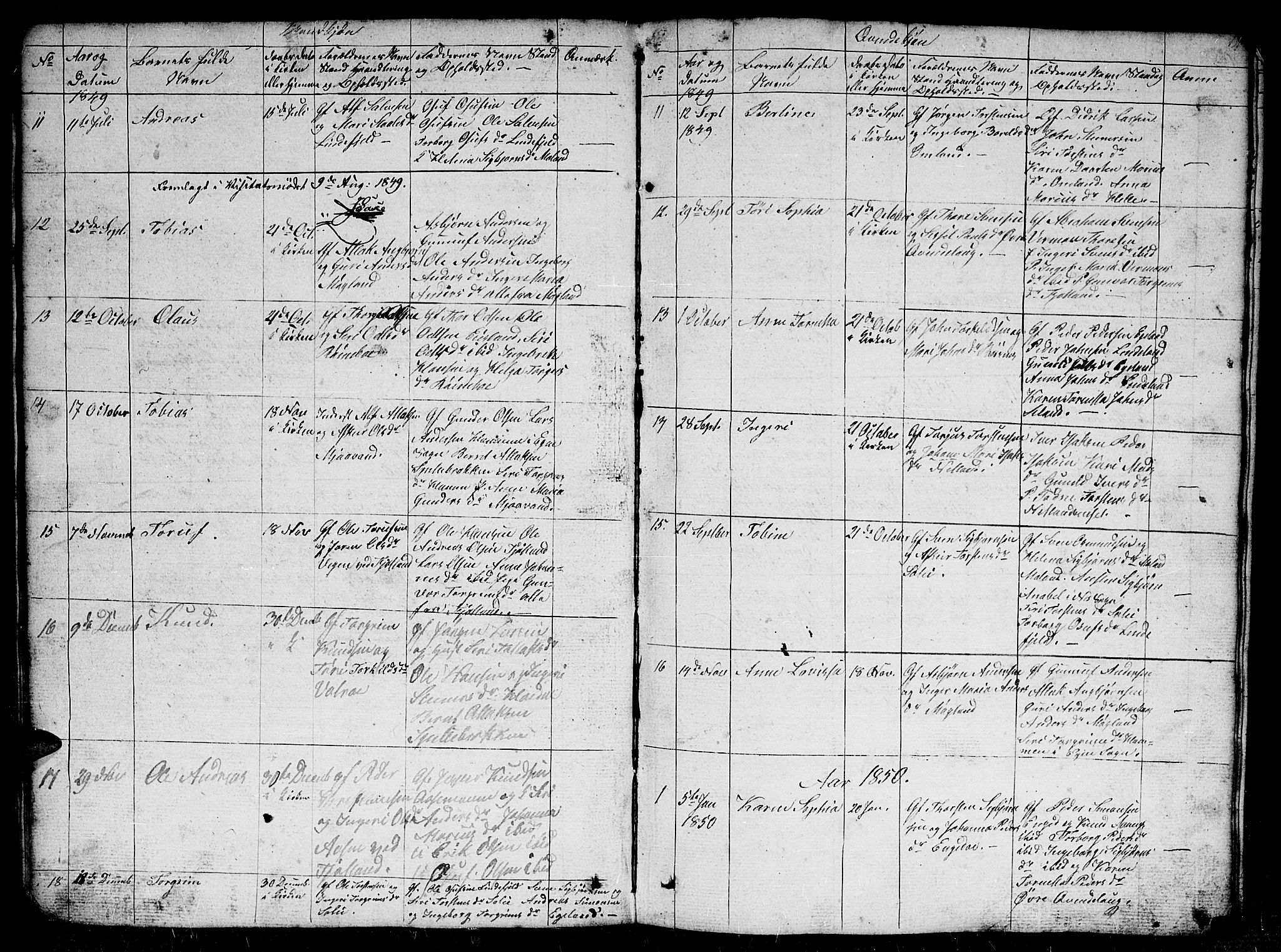 Fjotland sokneprestkontor, SAK/1111-0010/F/Fb/L0002: Parish register (copy) no. B 2, 1841-1871, p. 17