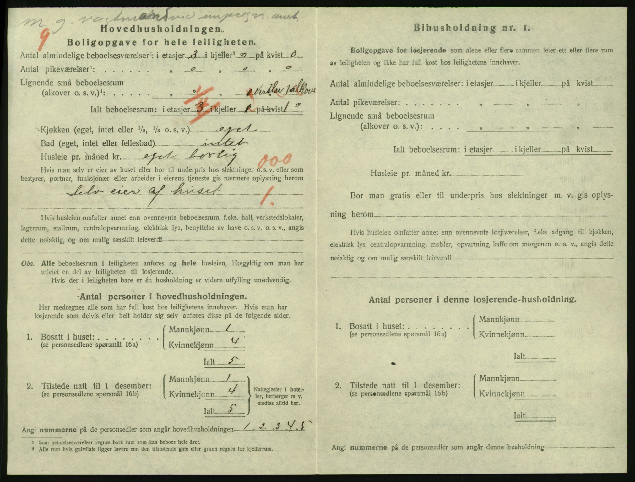 SAKO, 1920 census for Larvik, 1920, p. 3195