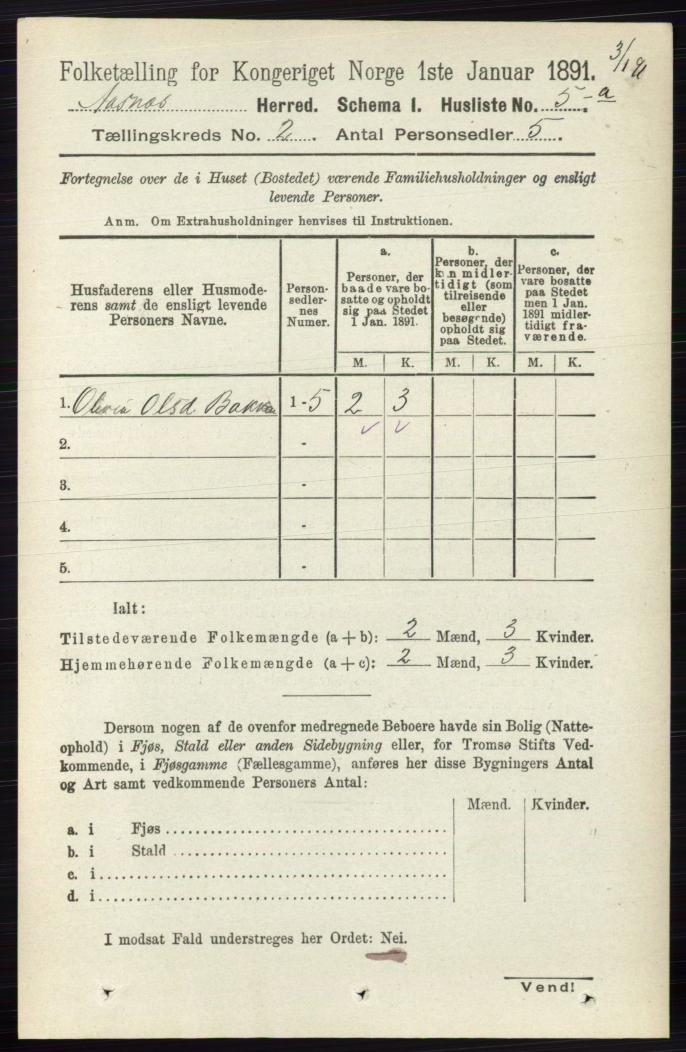 RA, 1891 census for 0425 Åsnes, 1891, p. 567