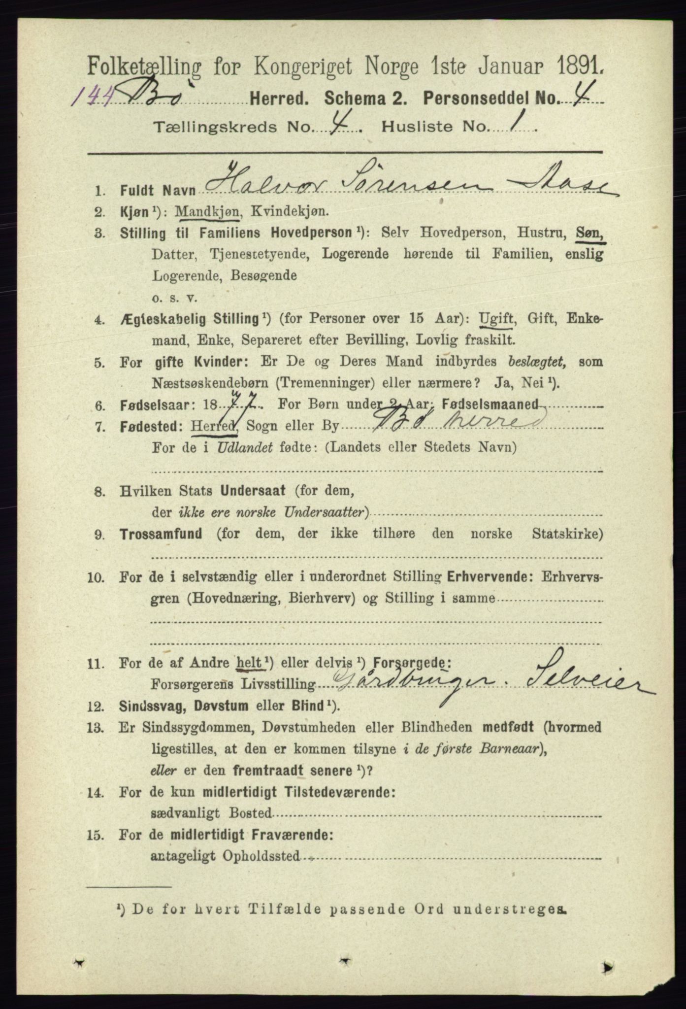 RA, 1891 census for 0821 Bø, 1891, p. 1227