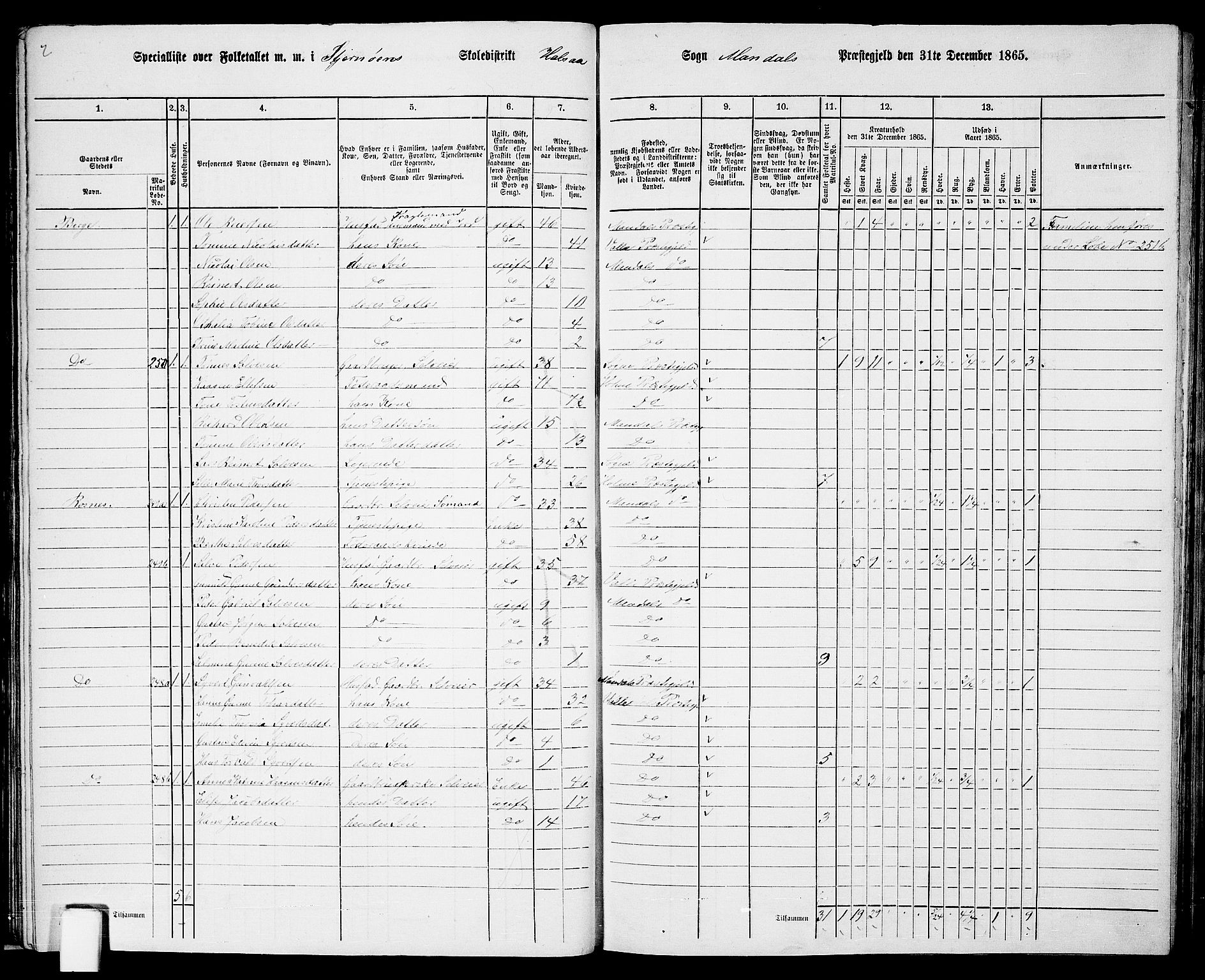 RA, 1865 census for Mandal/Halse og Harkmark, 1865, p. 35