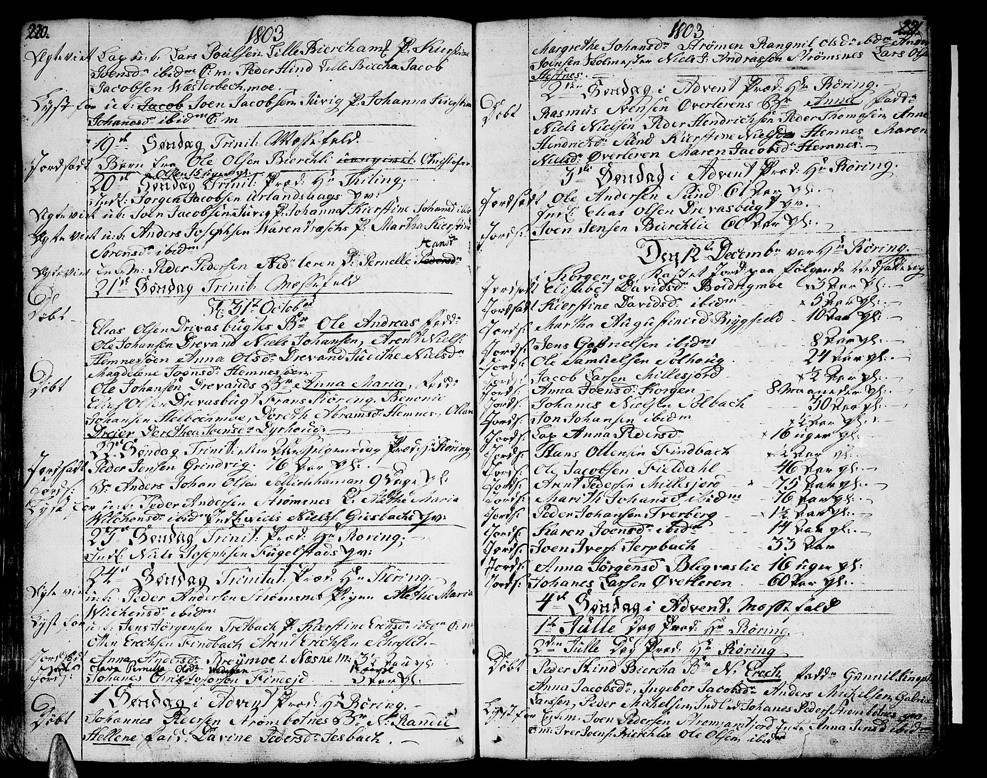 Ministerialprotokoller, klokkerbøker og fødselsregistre - Nordland, SAT/A-1459/825/L0349: Parish register (official) no. 825A05 /1, 1789-1806, p. 220-221