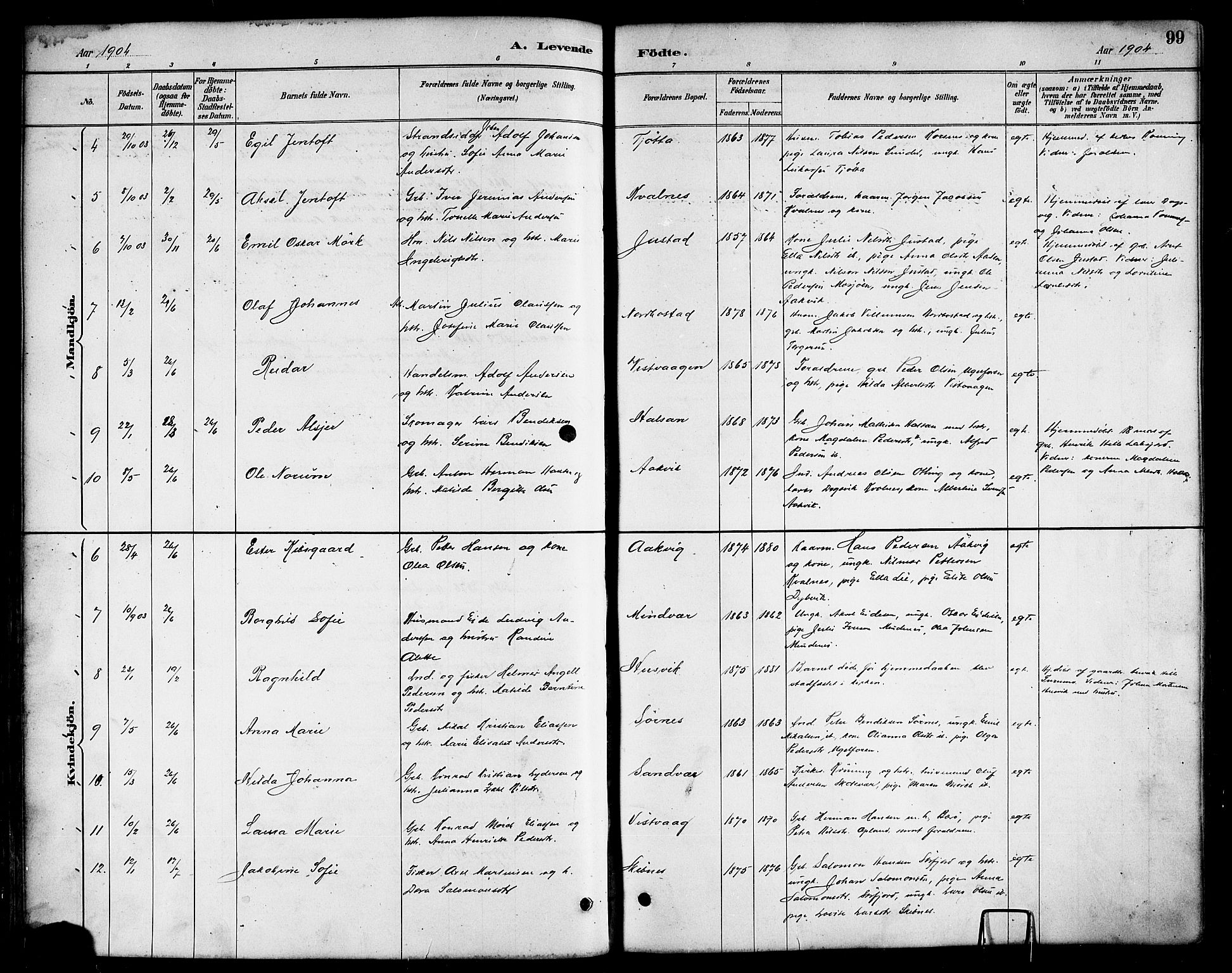 Ministerialprotokoller, klokkerbøker og fødselsregistre - Nordland, AV/SAT-A-1459/817/L0268: Parish register (copy) no. 817C03, 1884-1920, p. 99