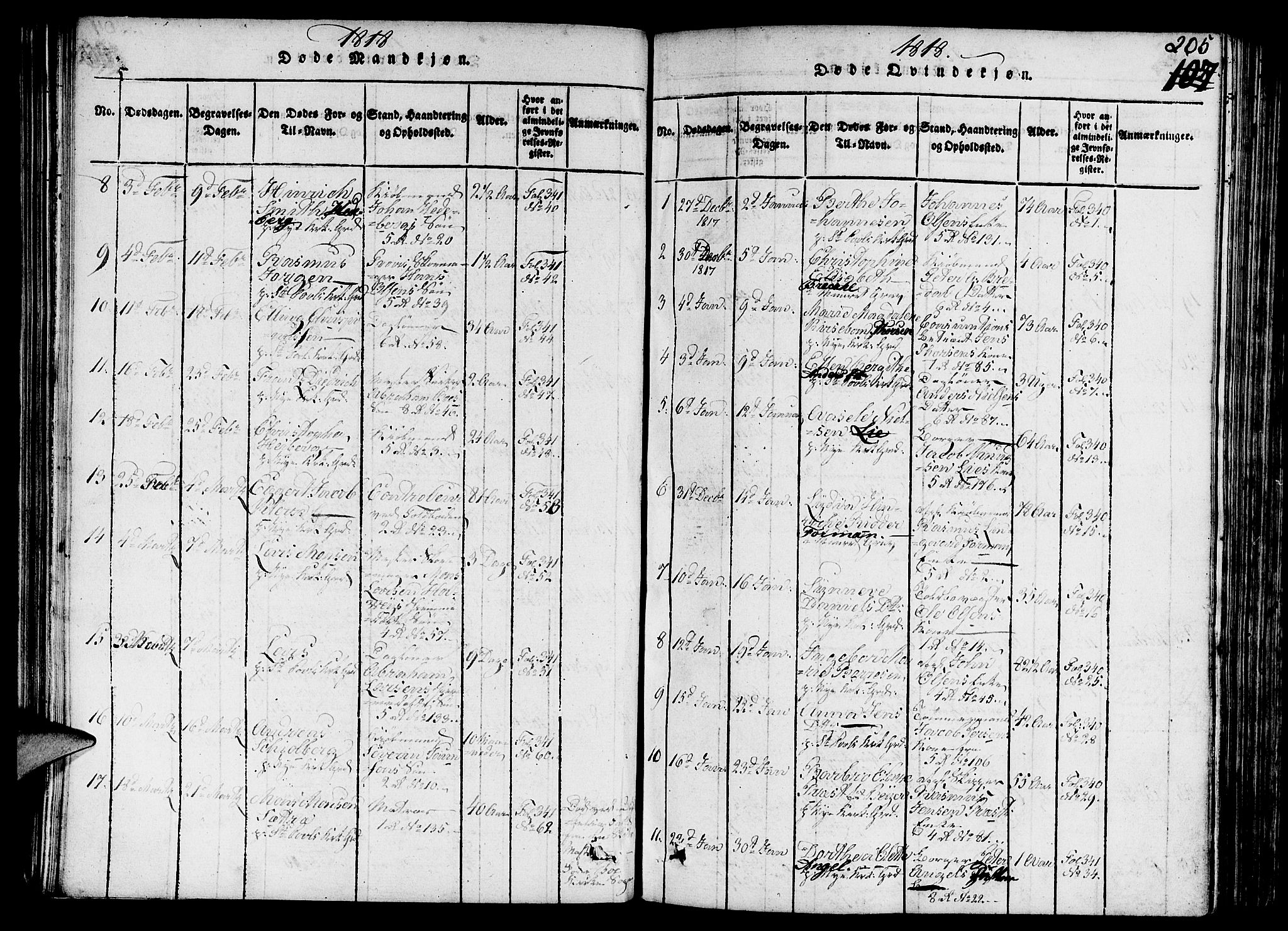 Nykirken Sokneprestembete, AV/SAB-A-77101/H/Hab/L0003: Parish register (copy) no. A 4, 1816-1821, p. 205