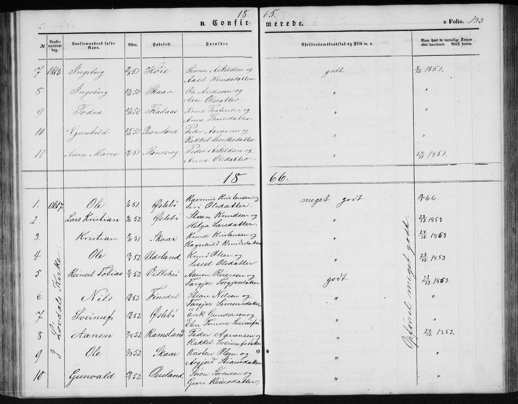 Holum sokneprestkontor, AV/SAK-1111-0022/F/Fb/Fbc/L0002: Parish register (copy) no. B 2, 1860-1882, p. 133