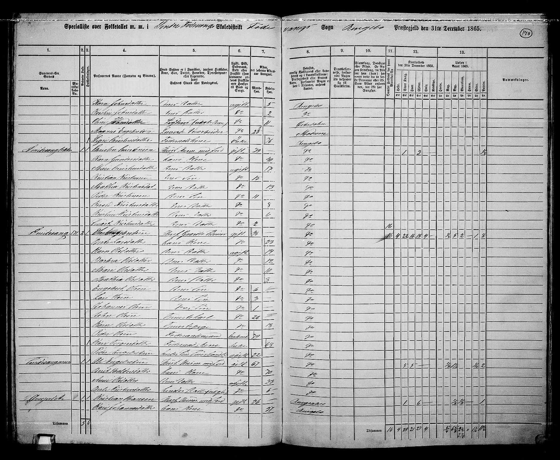 RA, 1865 census for Ringebu, 1865, p. 145