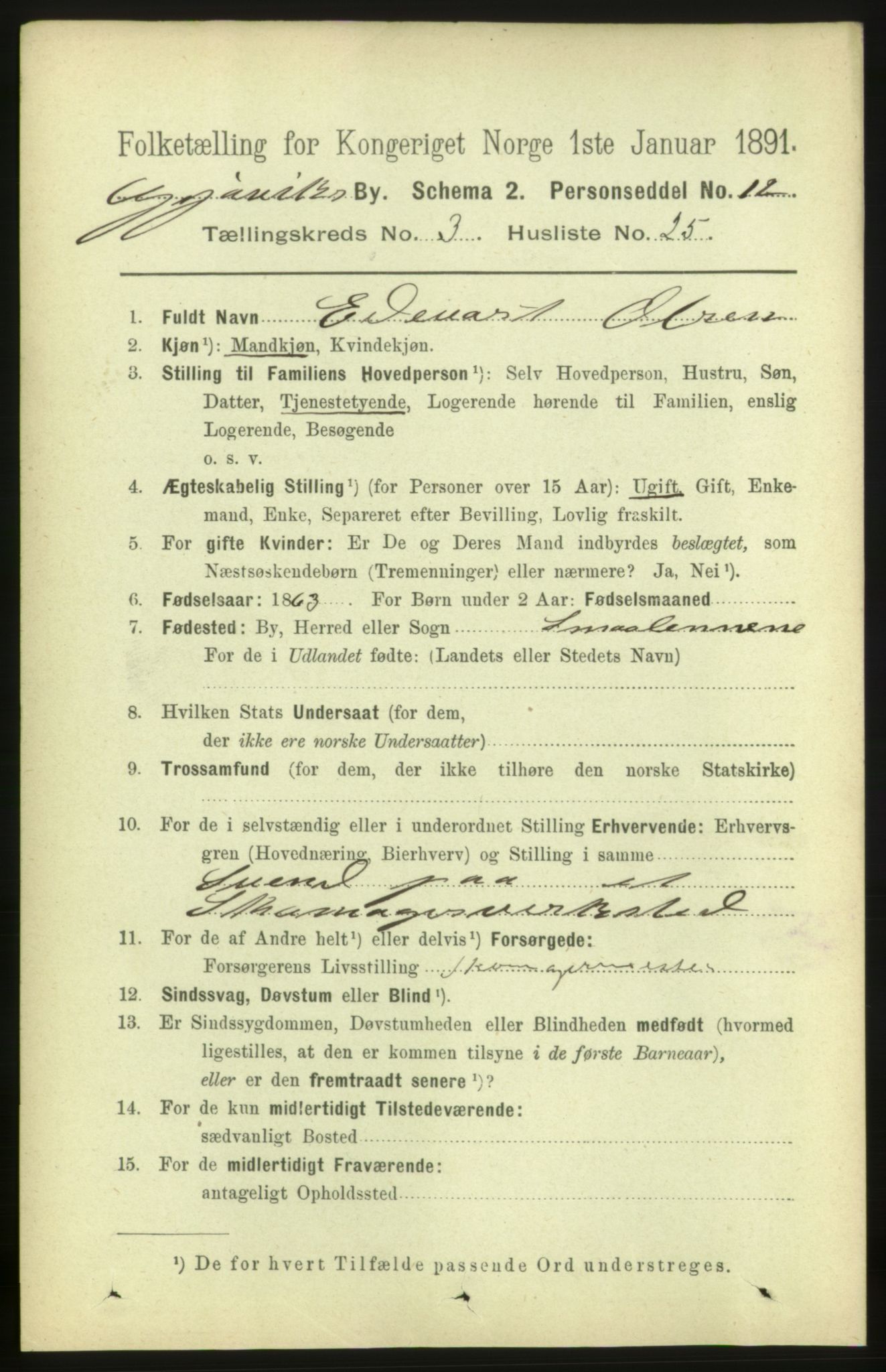 RA, 1891 census for 0502 Gjøvik, 1891, p. 1379