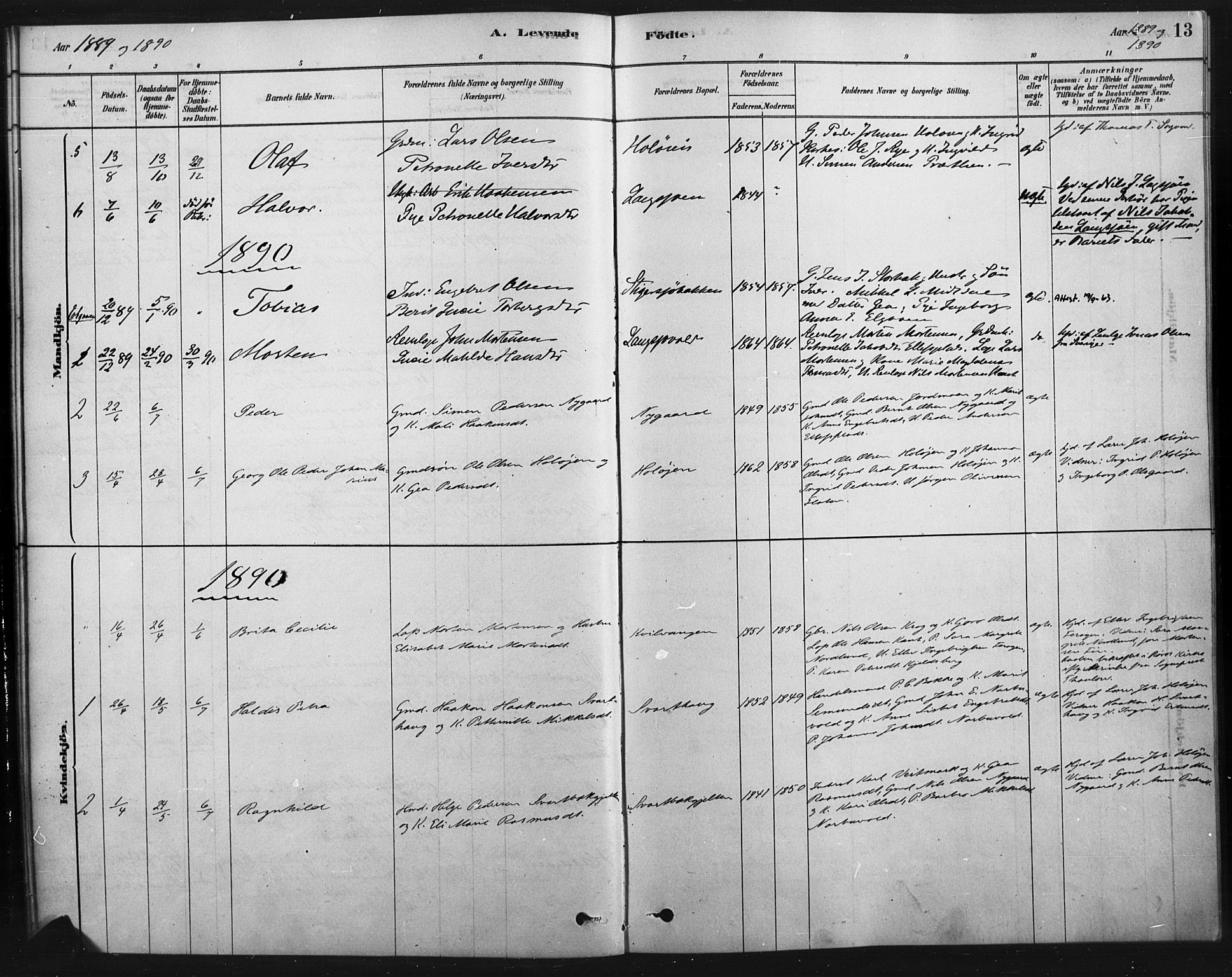 Tolga prestekontor, SAH/PREST-062/K/L0007: Parish register (official) no. 7, 1877-1900, p. 13