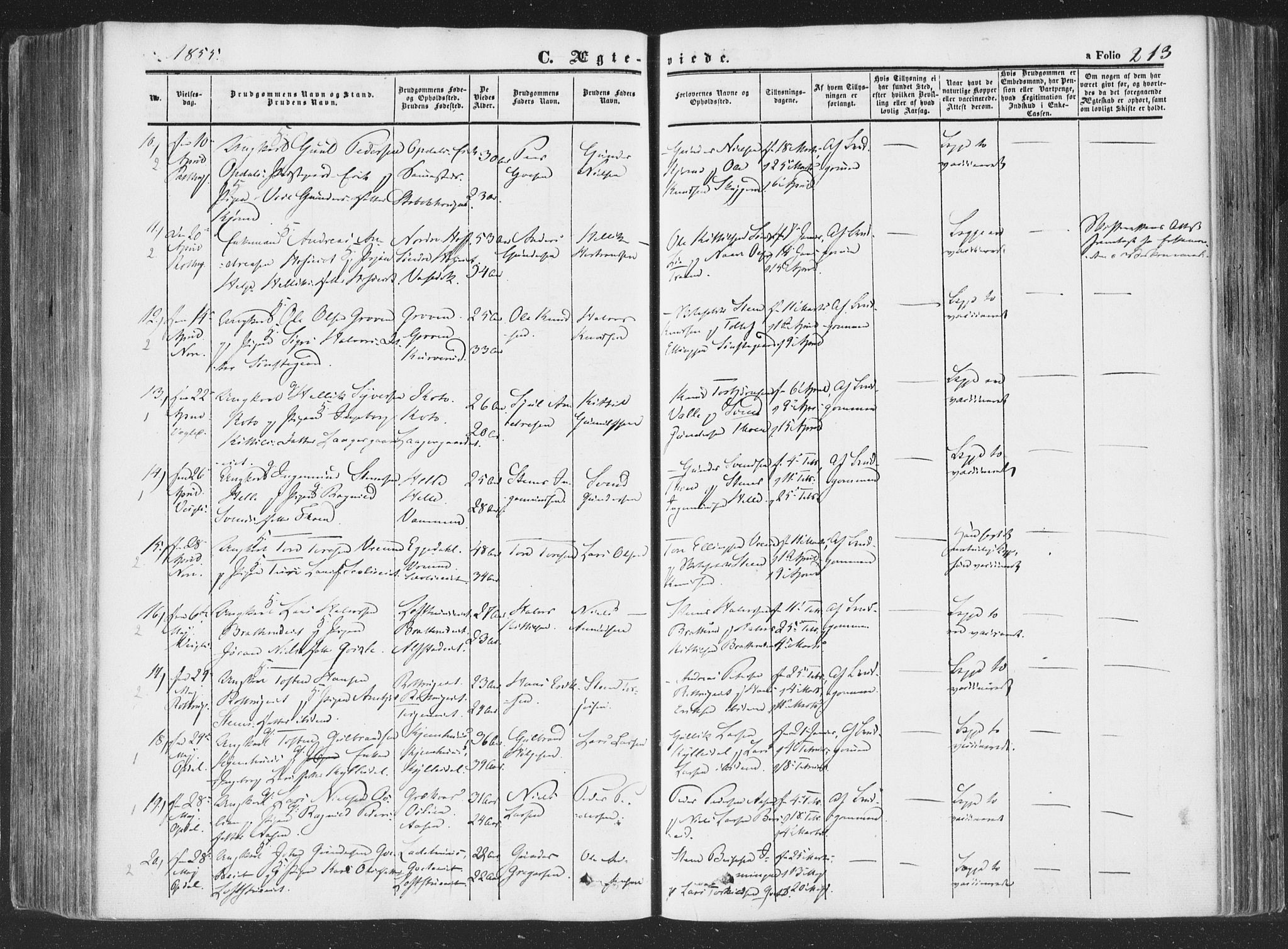 Rollag kirkebøker, AV/SAKO-A-240/F/Fa/L0008: Parish register (official) no. I 8, 1847-1860, p. 213