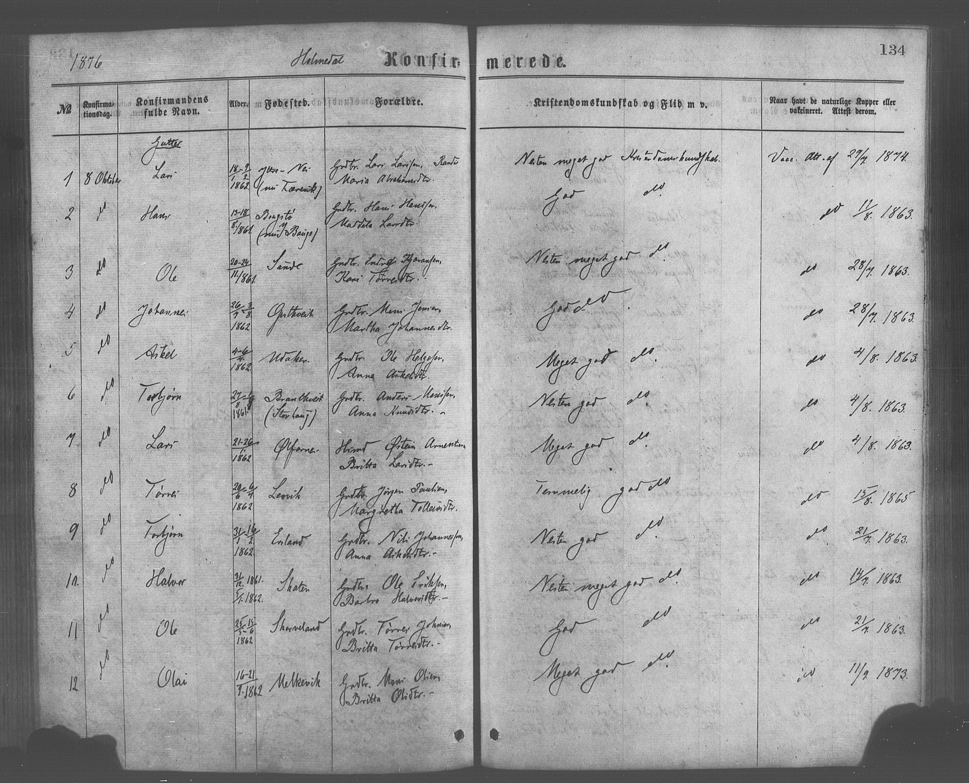 Skånevik sokneprestembete, AV/SAB-A-77801/H/Haa: Parish register (official) no. A 6, 1869-1878, p. 134