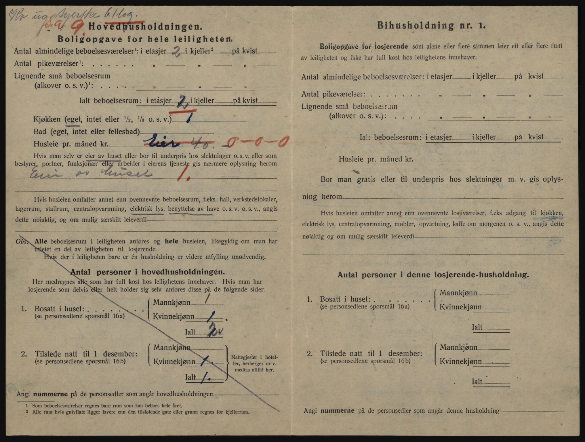 SAO, 1920 census for Drøbak, 1920, p. 1376