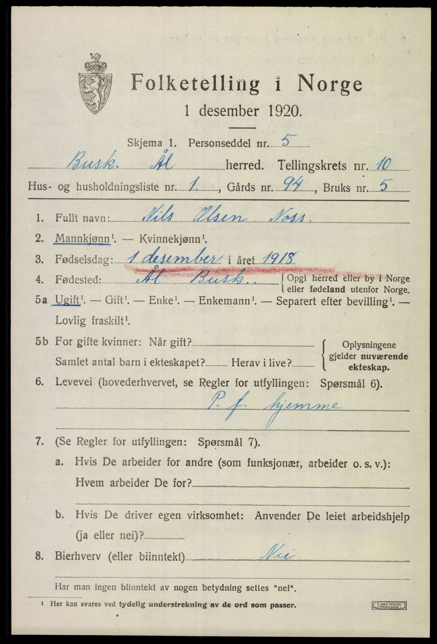 SAKO, 1920 census for Ål, 1920, p. 5954