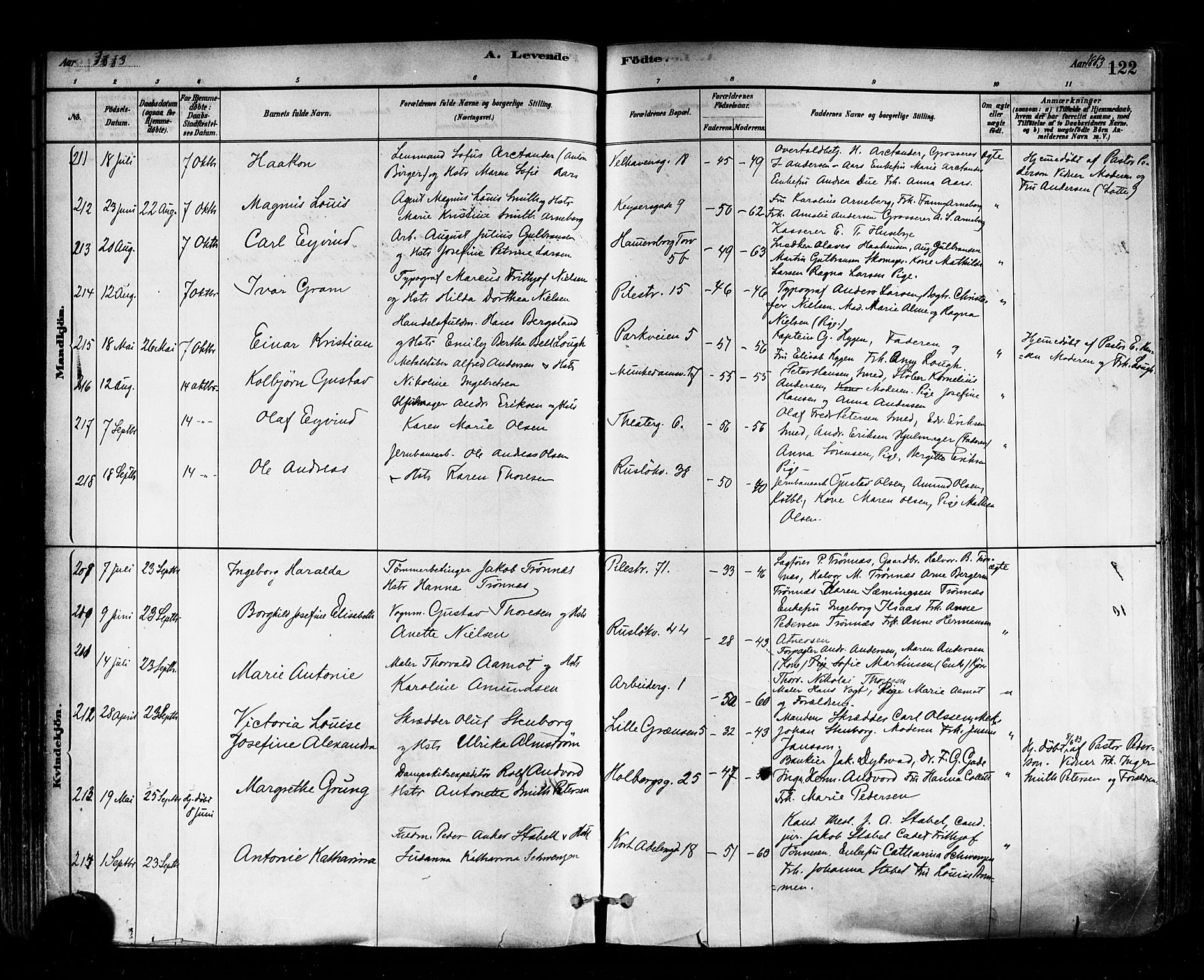 Trefoldighet prestekontor Kirkebøker, SAO/A-10882/F/Fa/L0005: Parish register (official) no. I 5, 1881-1891, p. 122