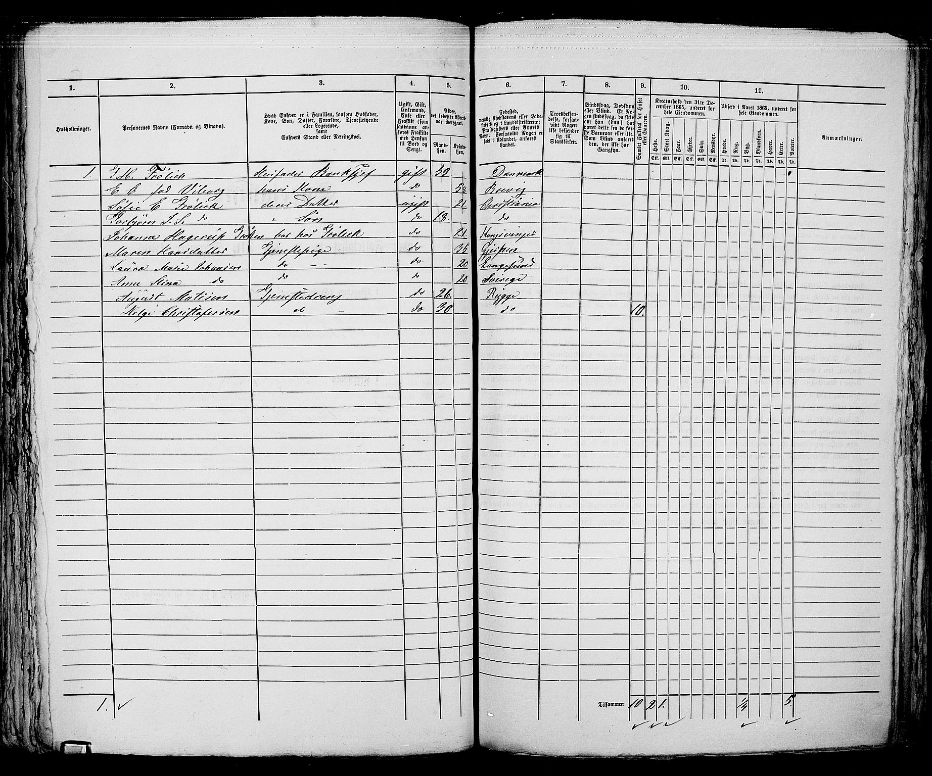 RA, 1865 census for Kristiania, 1865, p. 5137