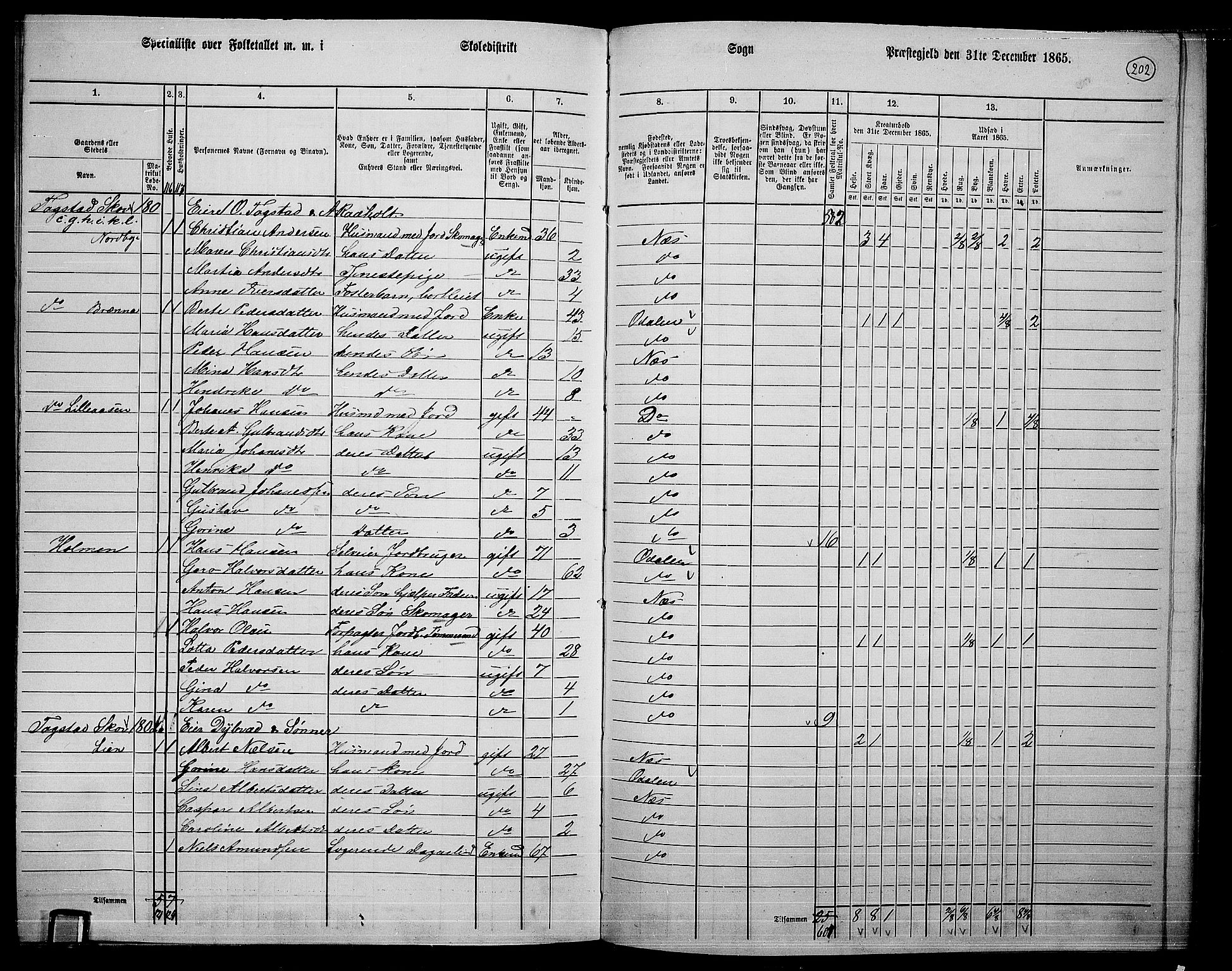 RA, 1865 census for Nes, 1865, p. 185