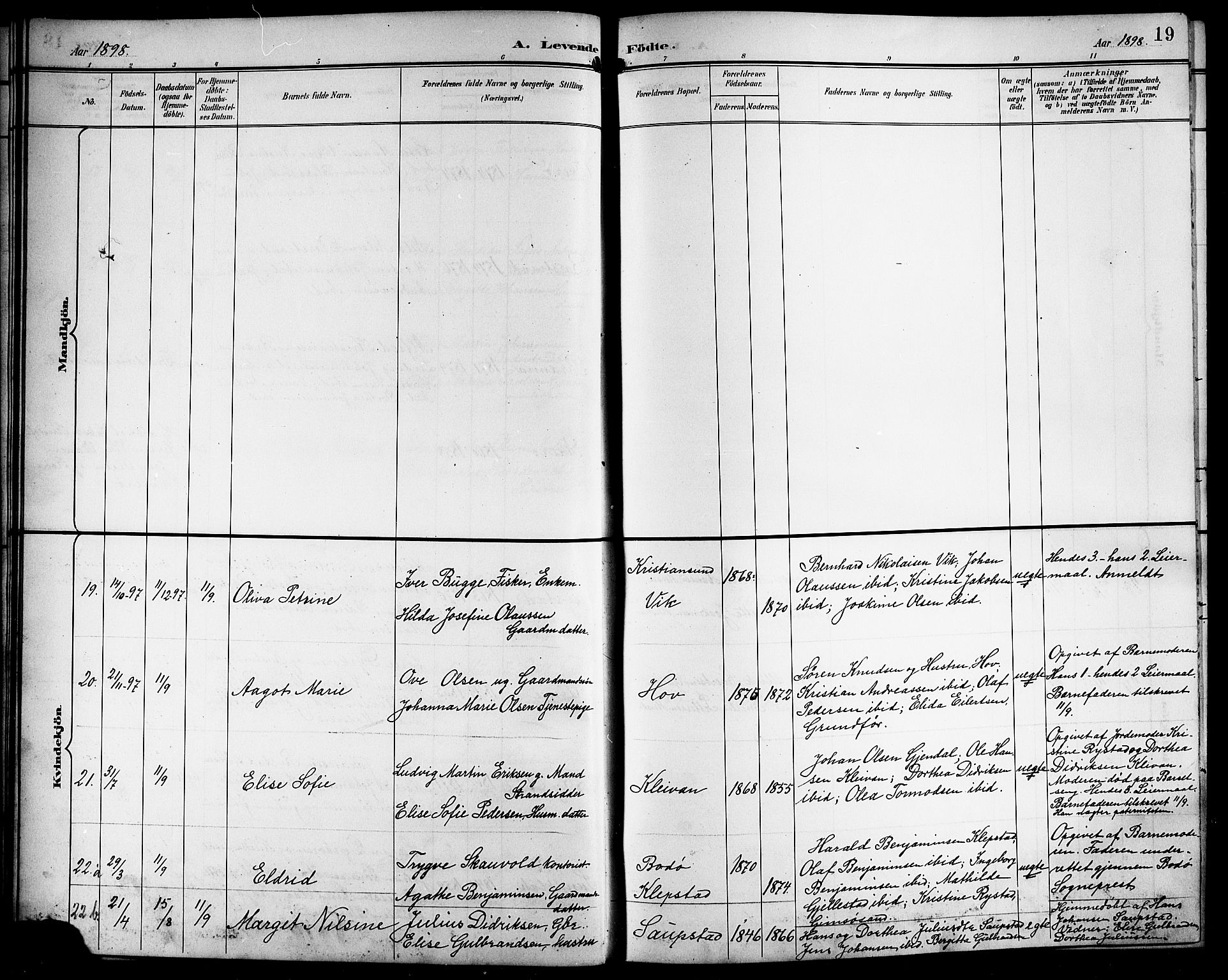 Ministerialprotokoller, klokkerbøker og fødselsregistre - Nordland, AV/SAT-A-1459/876/L1105: Parish register (copy) no. 876C04, 1896-1914, p. 19