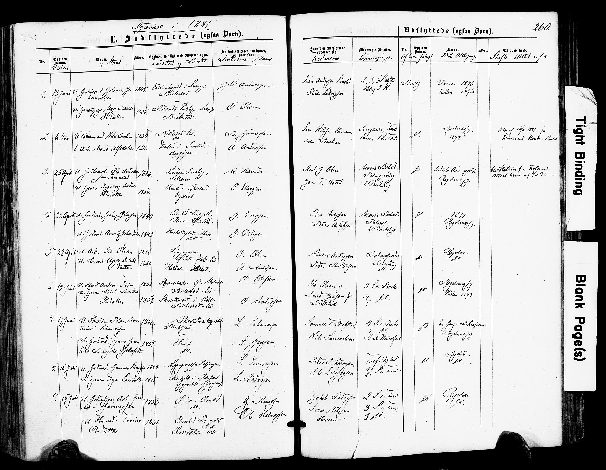 Froland sokneprestkontor, SAK/1111-0013/F/Fa/L0003: Parish register (official) no. A 3, 1864-1881, p. 260