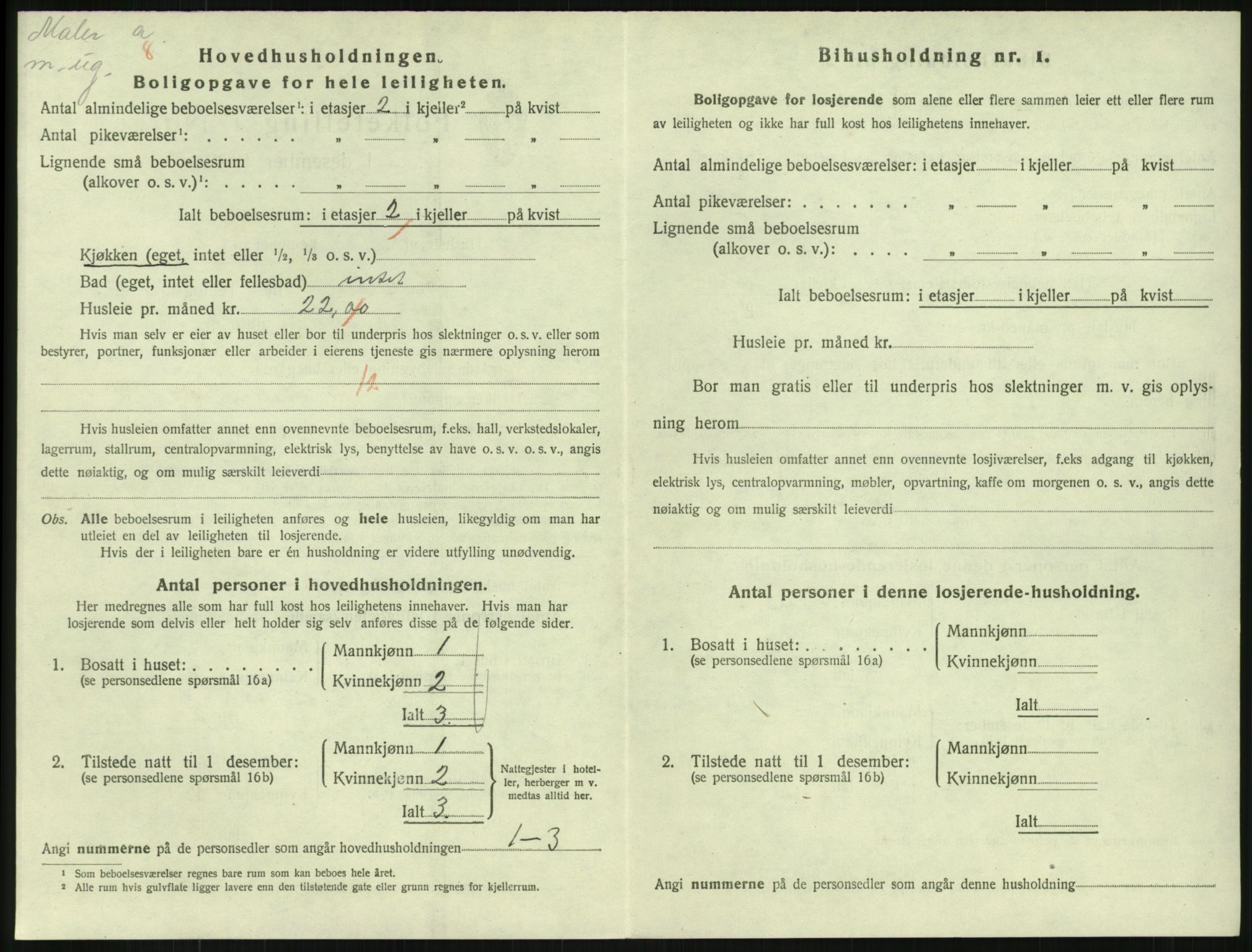 SAKO, 1920 census for Horten, 1920, p. 7290