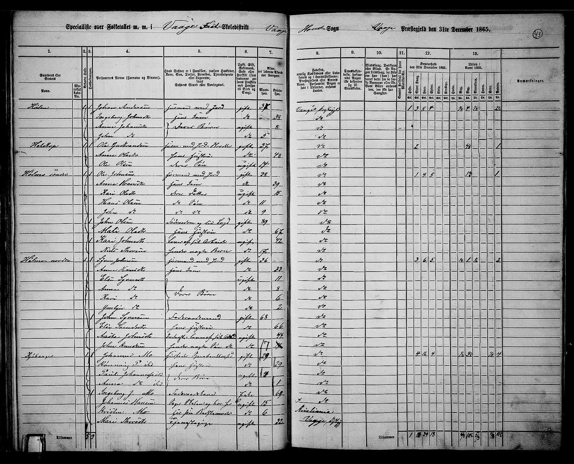 RA, 1865 census for Vågå, 1865, p. 39