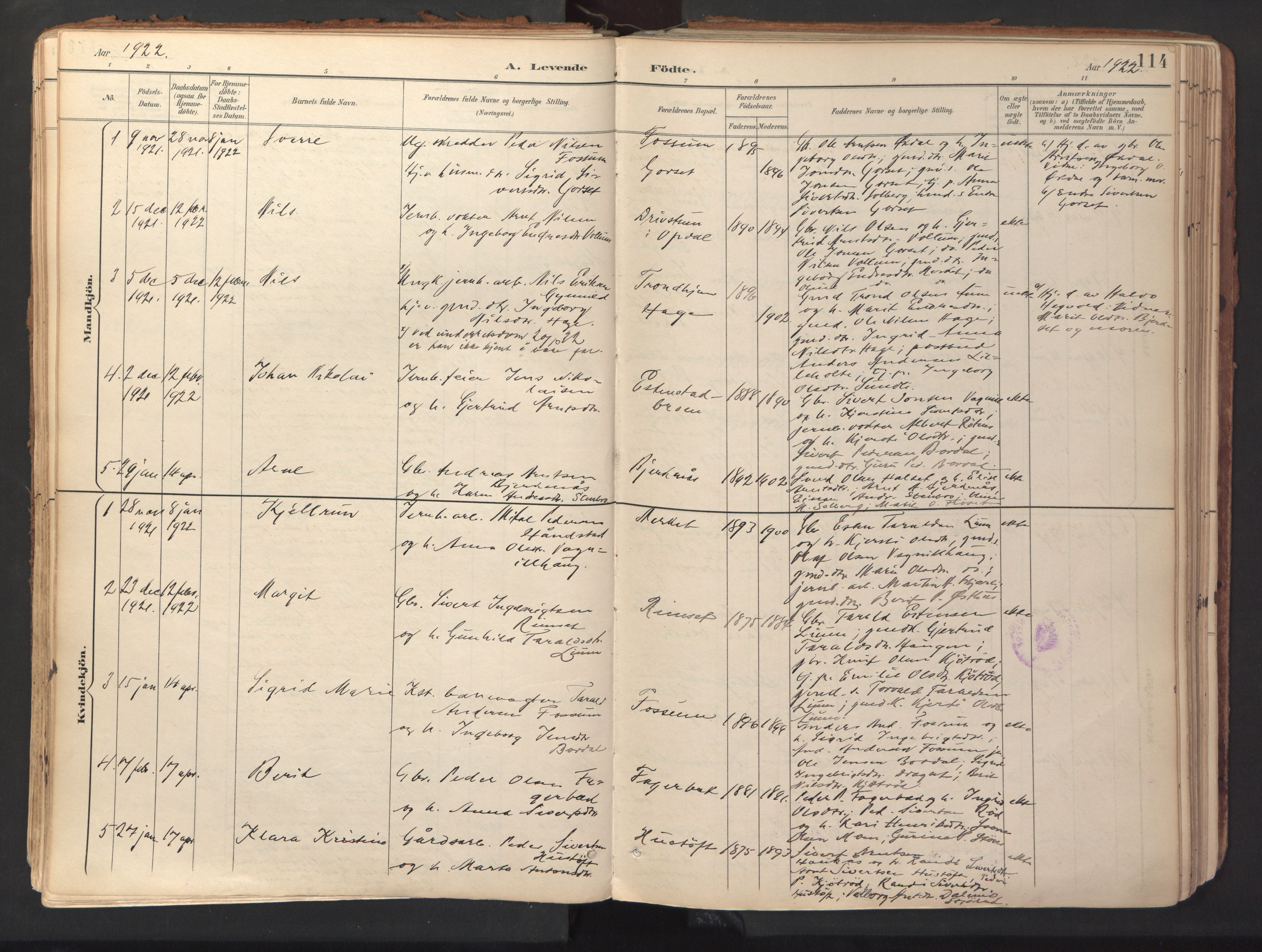Ministerialprotokoller, klokkerbøker og fødselsregistre - Sør-Trøndelag, SAT/A-1456/689/L1041: Parish register (official) no. 689A06, 1891-1923, p. 114